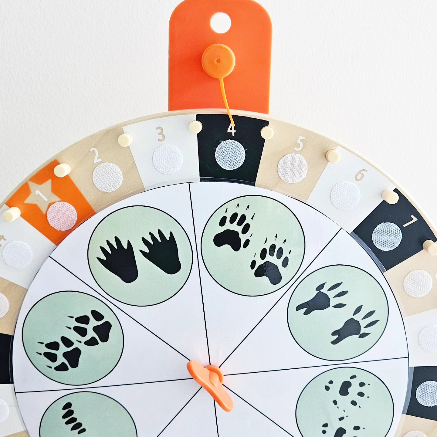 Jeu De Traqueur Animaux De La Forêt