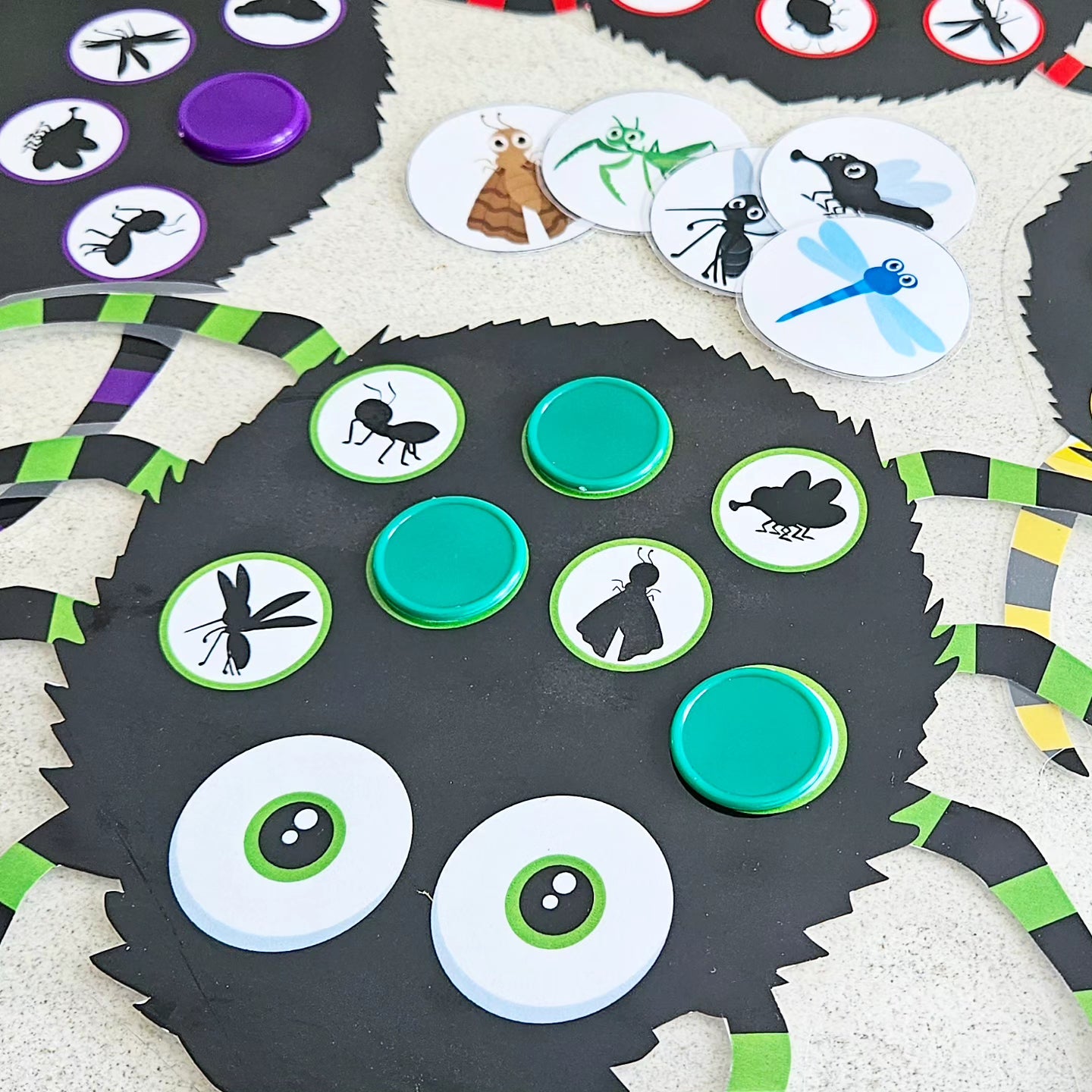 Collations D'Araignées