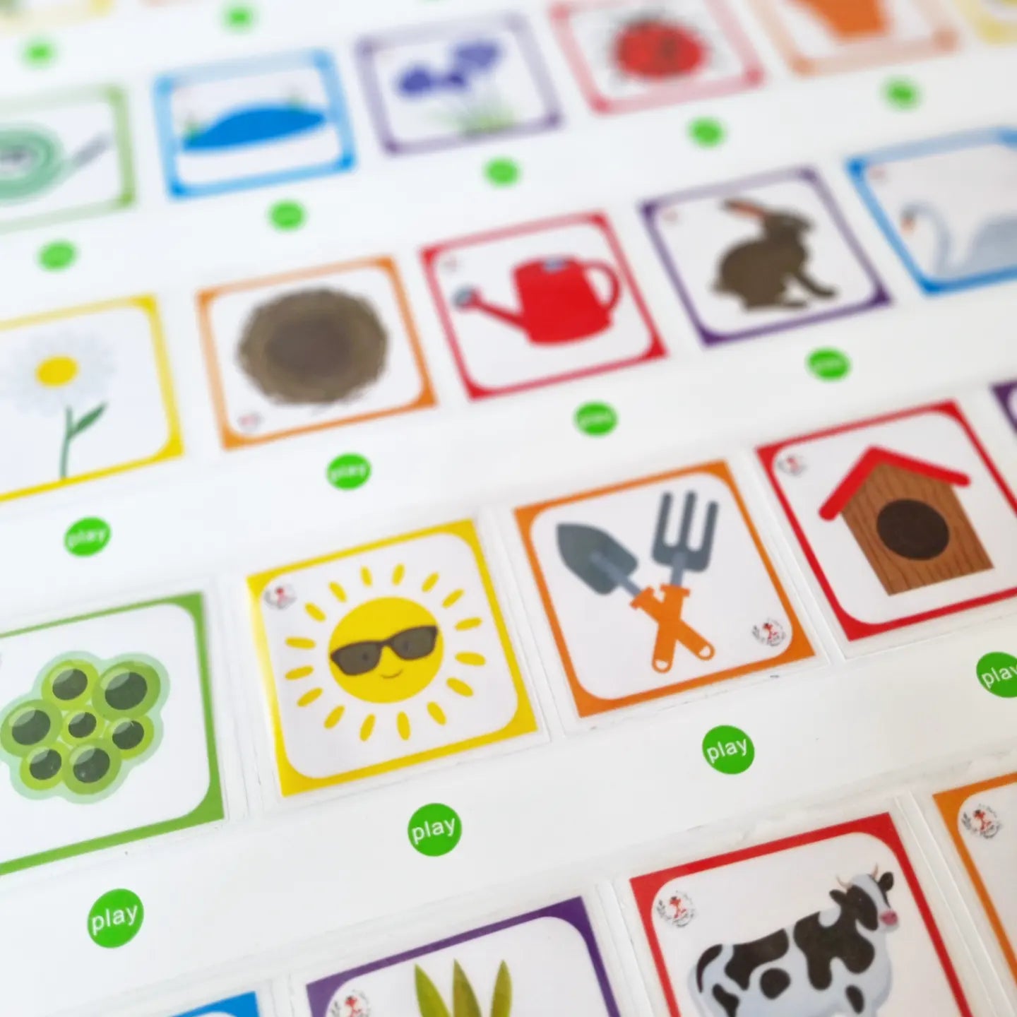 Mur De Parole : Printemps