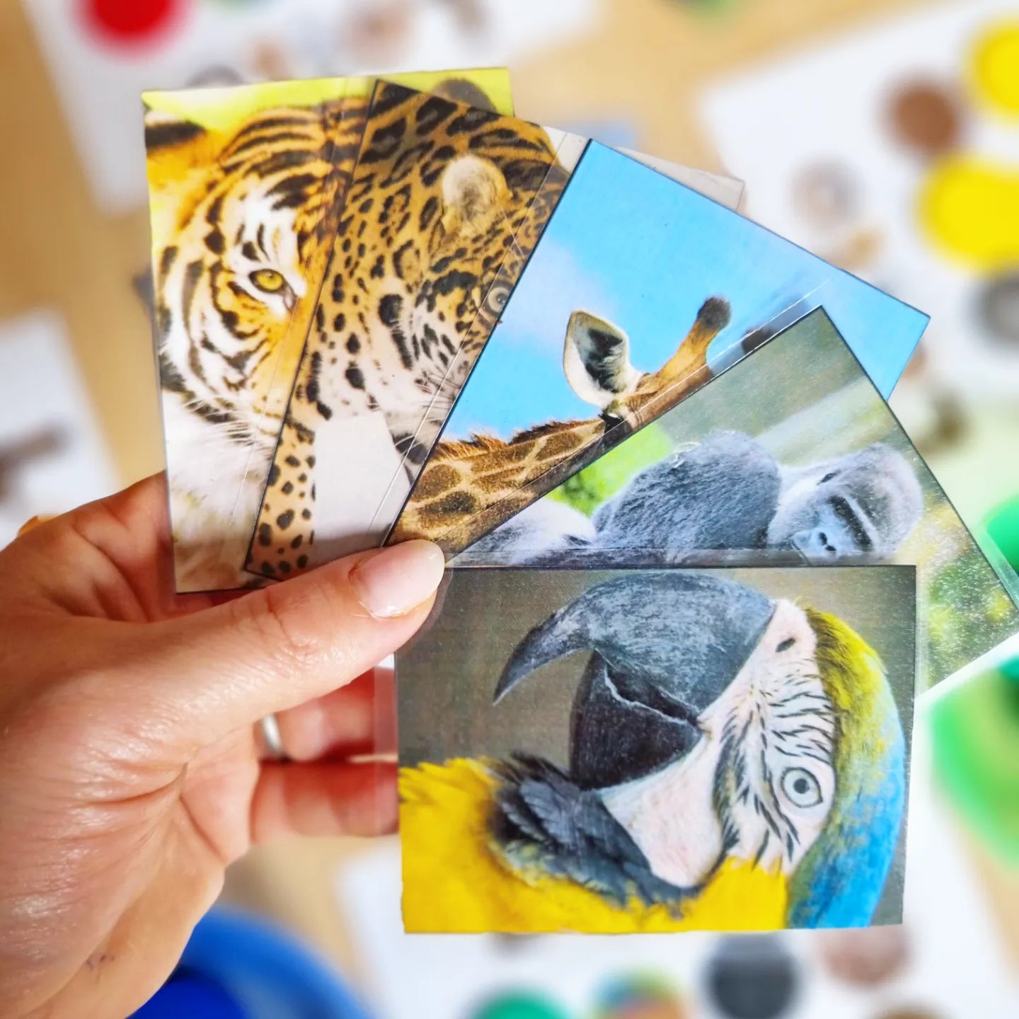 Dierenprints Foto Lotto