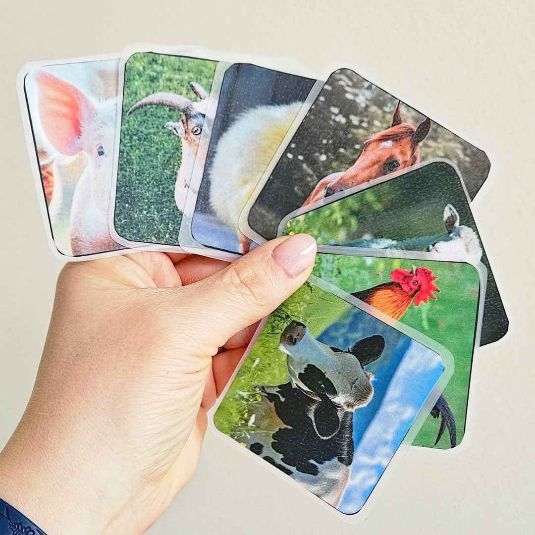 Farm Micro-Macro Lotto