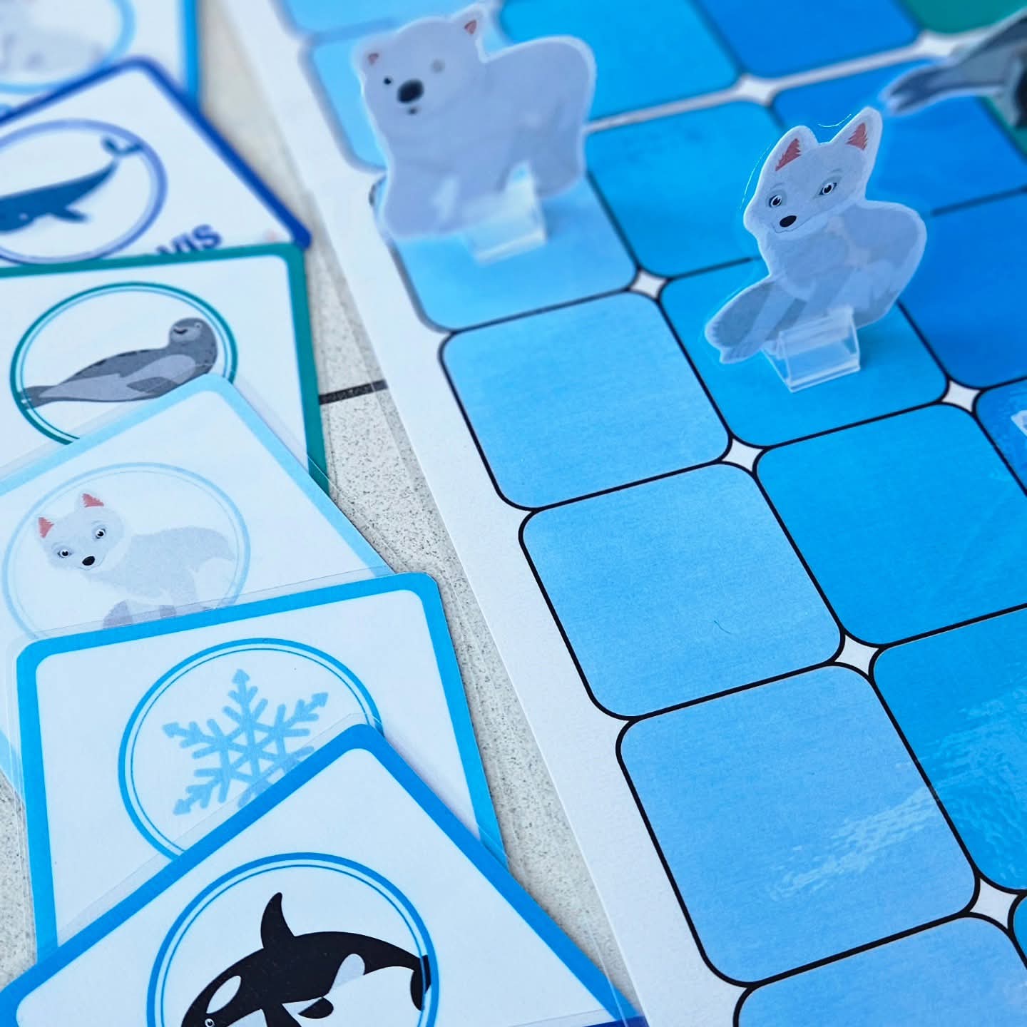 Maxi Arctic Animal Team Race