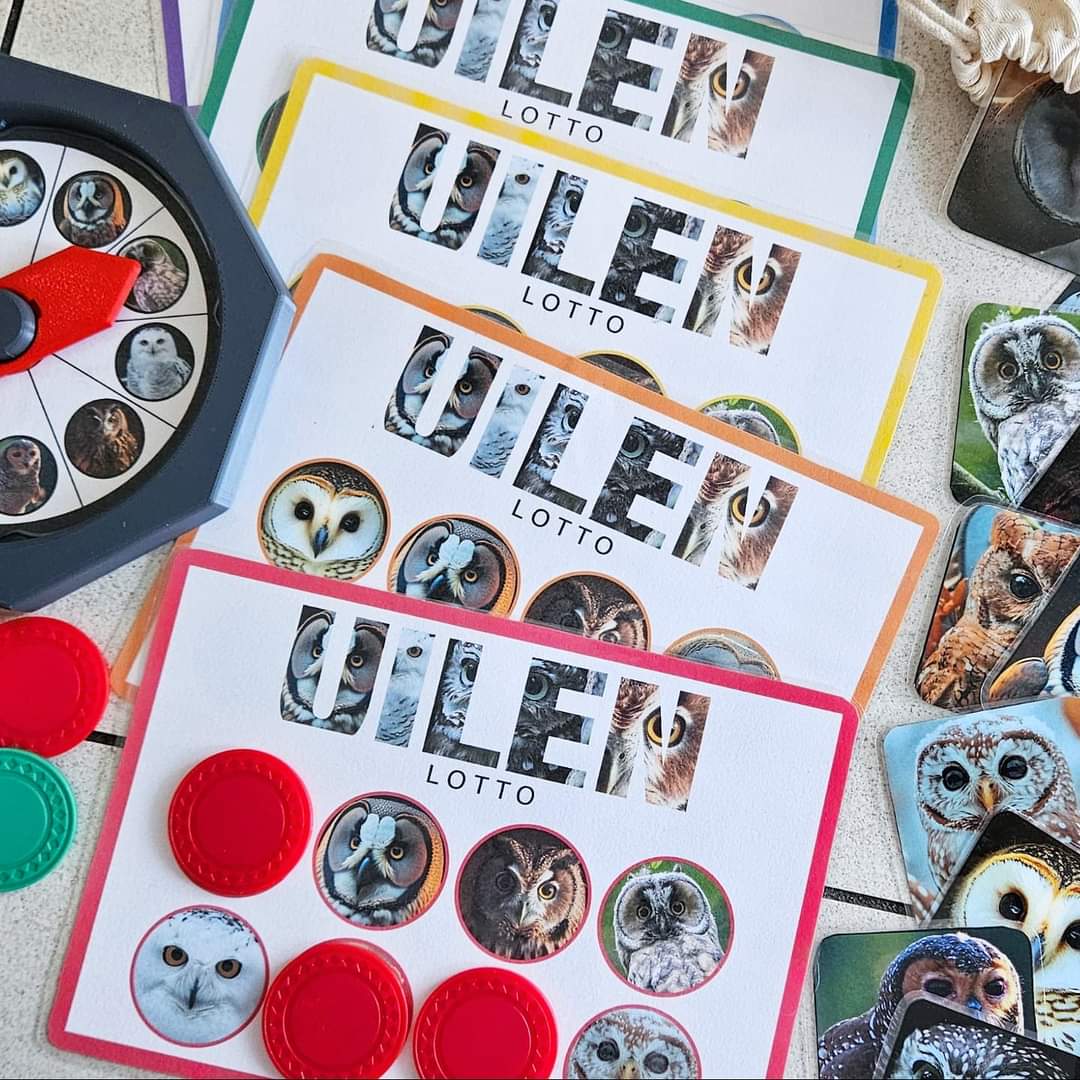 Photo Loto Hiboux