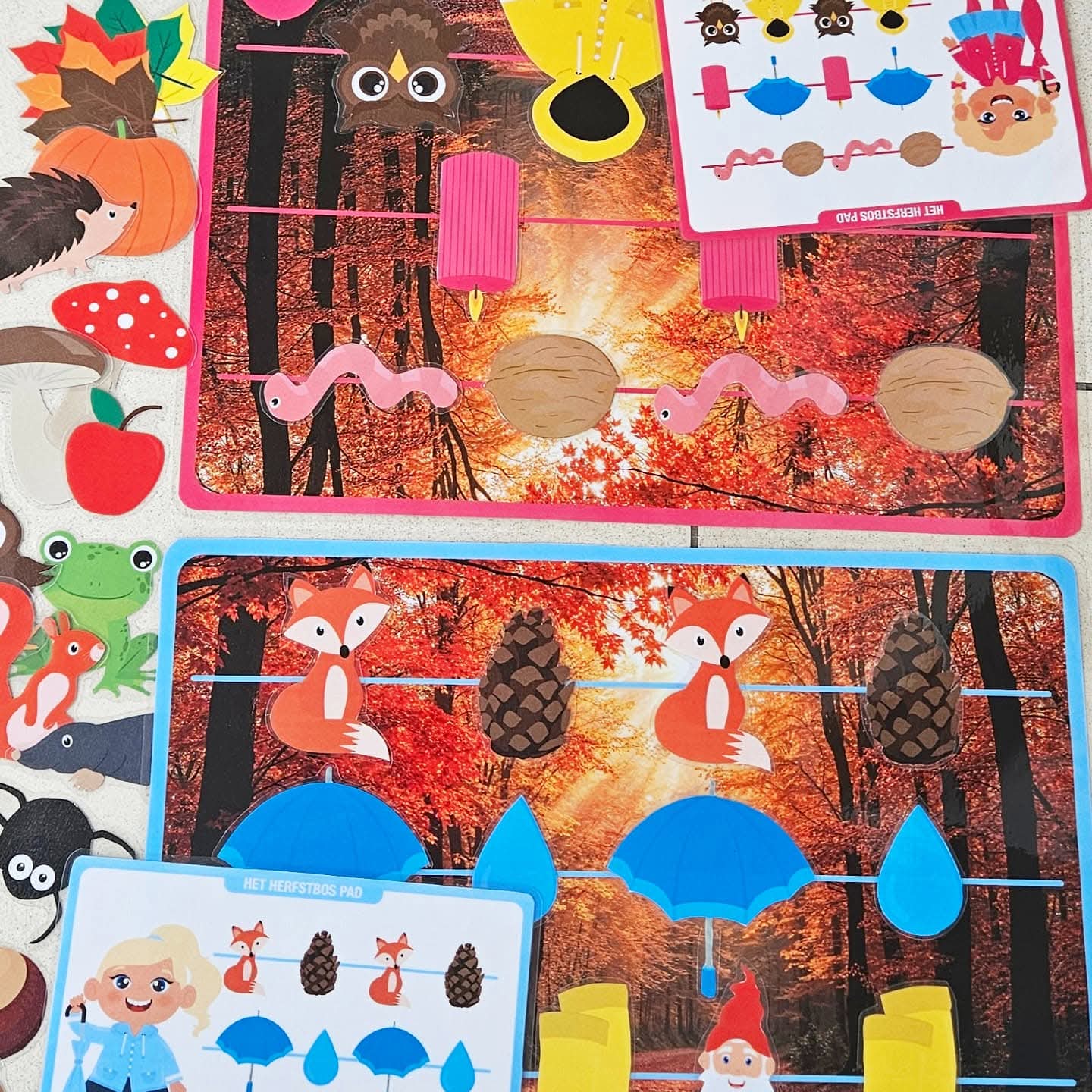 Le Sentier Forestier d'Automne