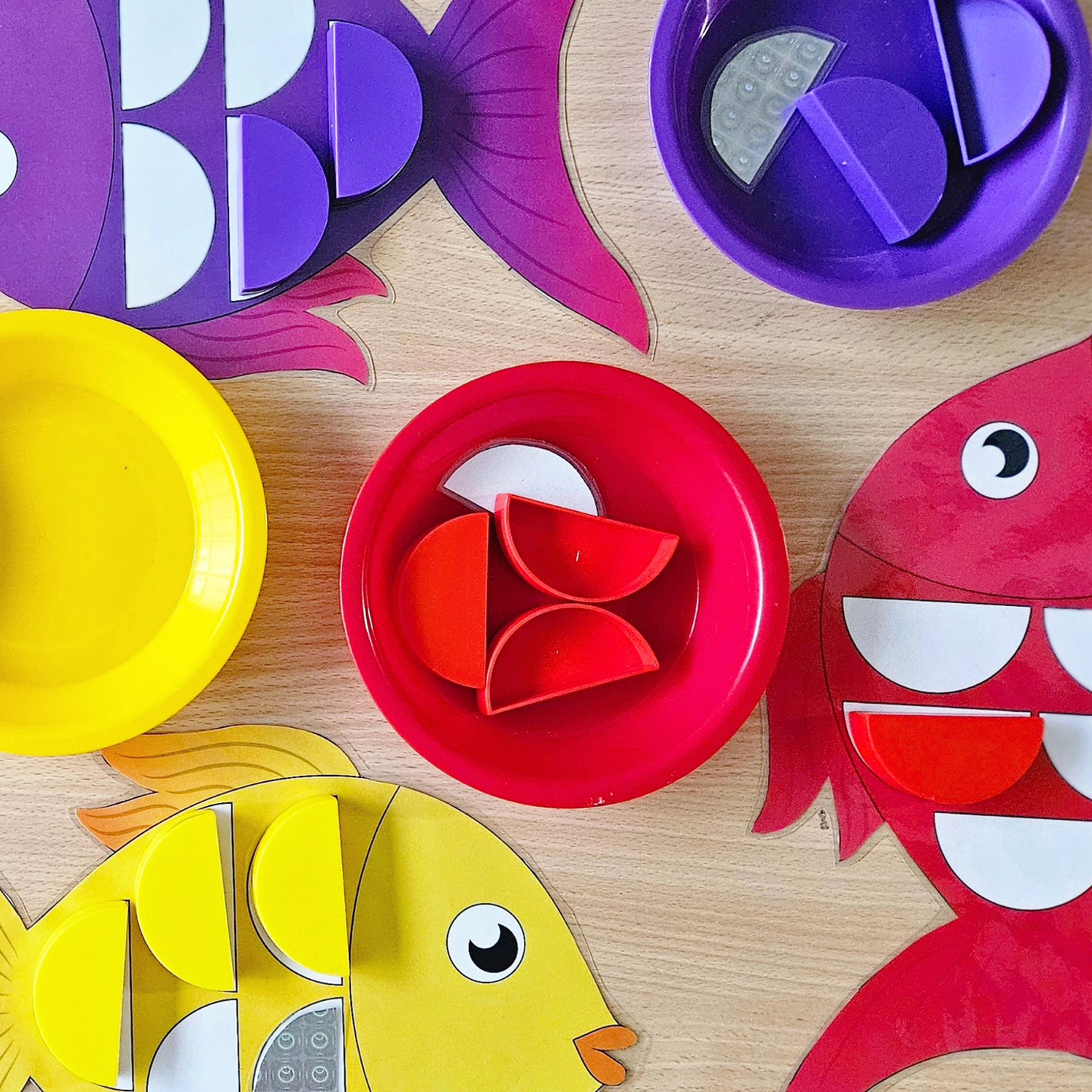 The Most Beautiful Fish