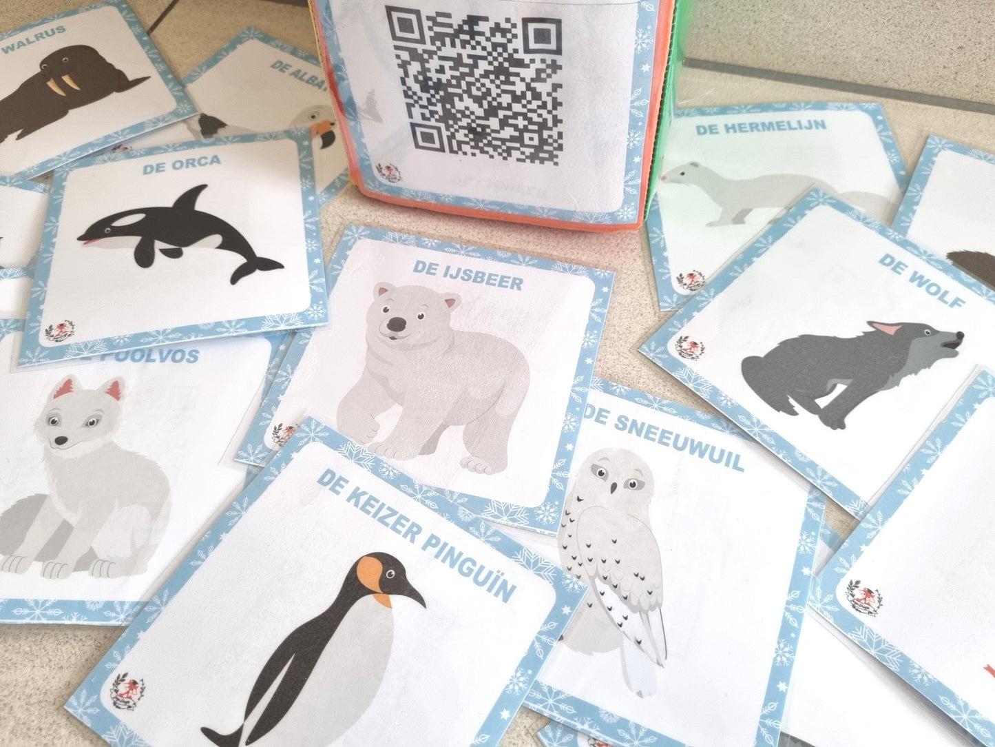 Dice QR Cards : Animaux de l'Arctique