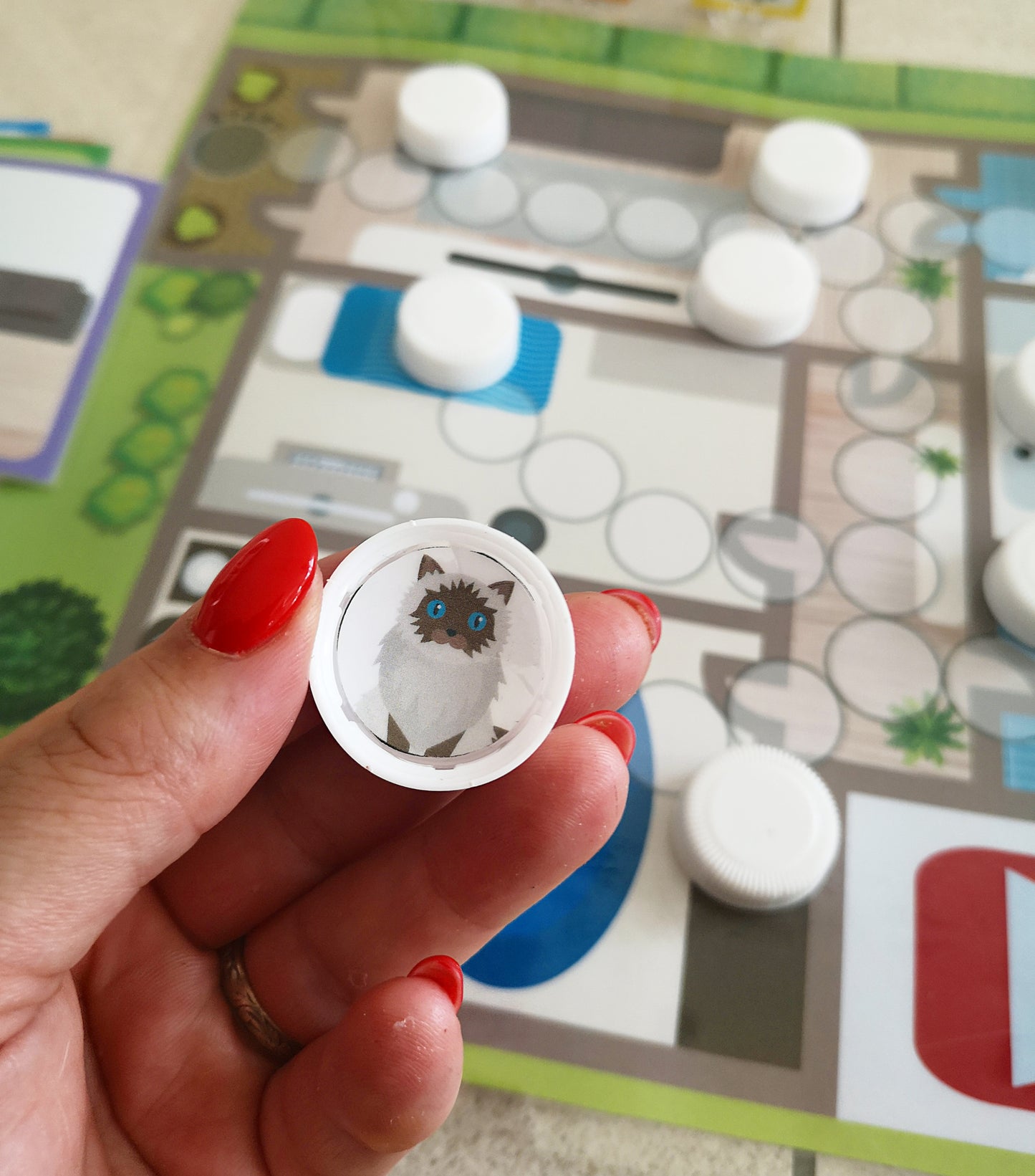 Zoek de Poes Bordspel