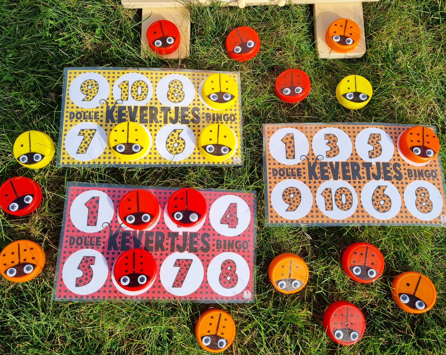 Bingo Coccinelle Fou