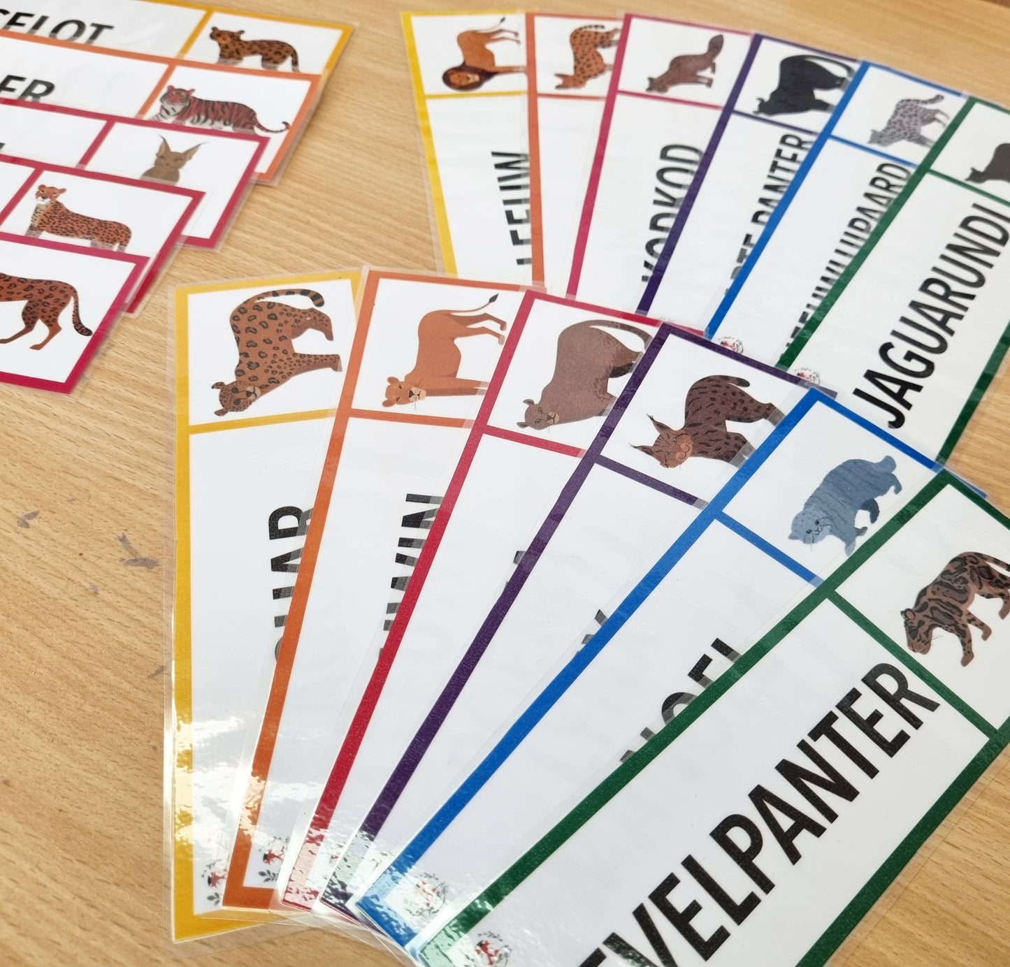 Woordkaarten: Wilde Katten