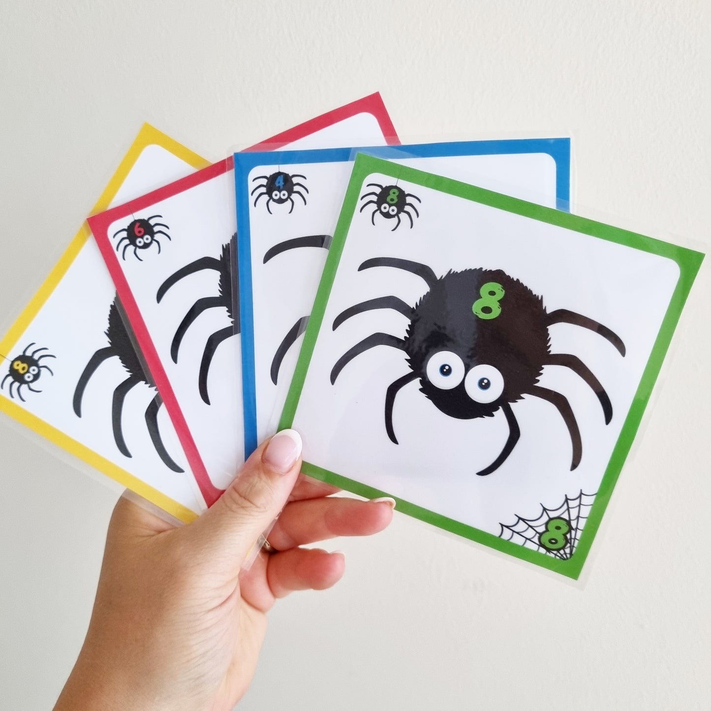 Araignée sans jambes