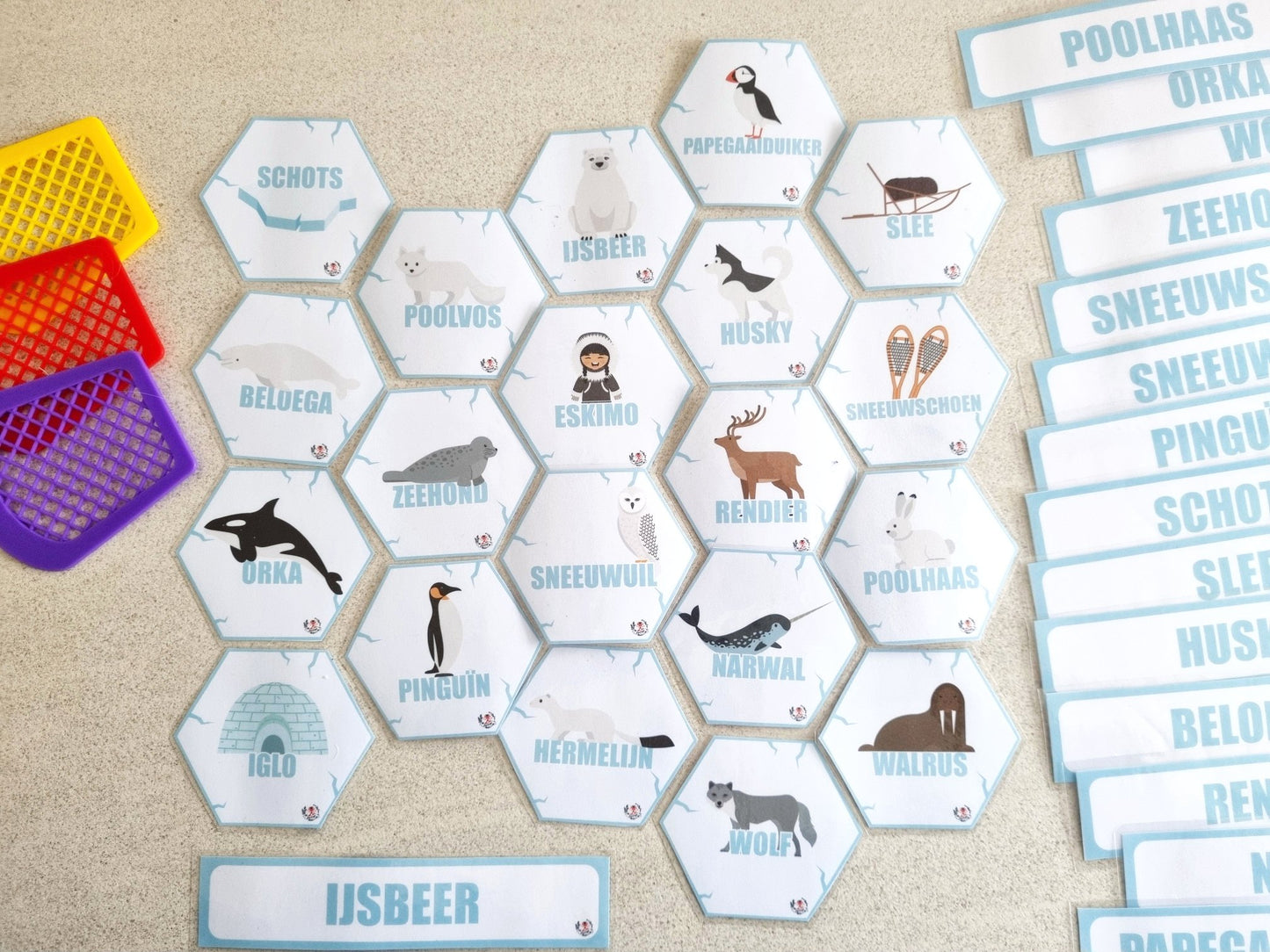 Noord & Zuidpool Snelle Woorden