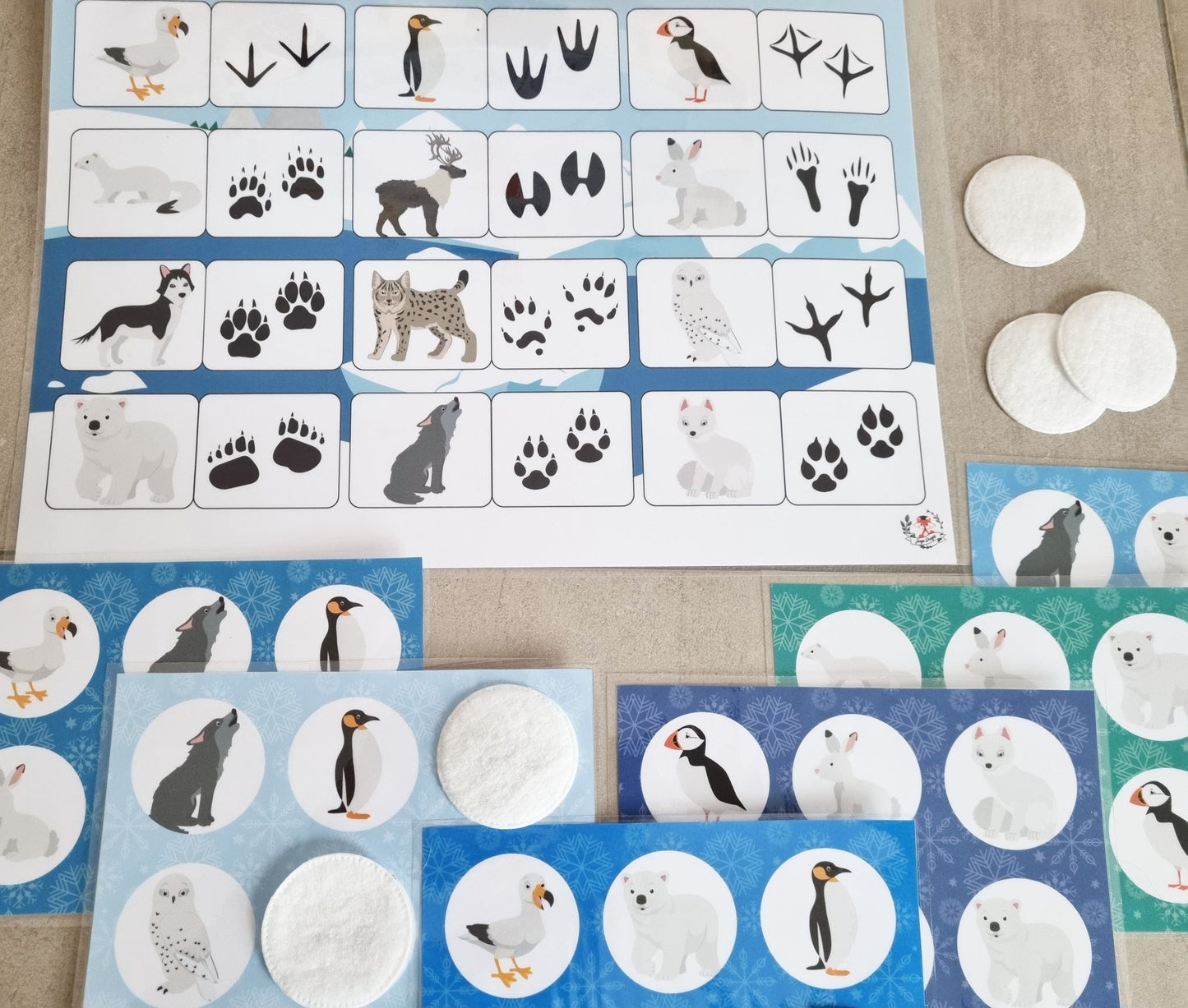 Jeu De Traqueur Animaux De l'Arctique