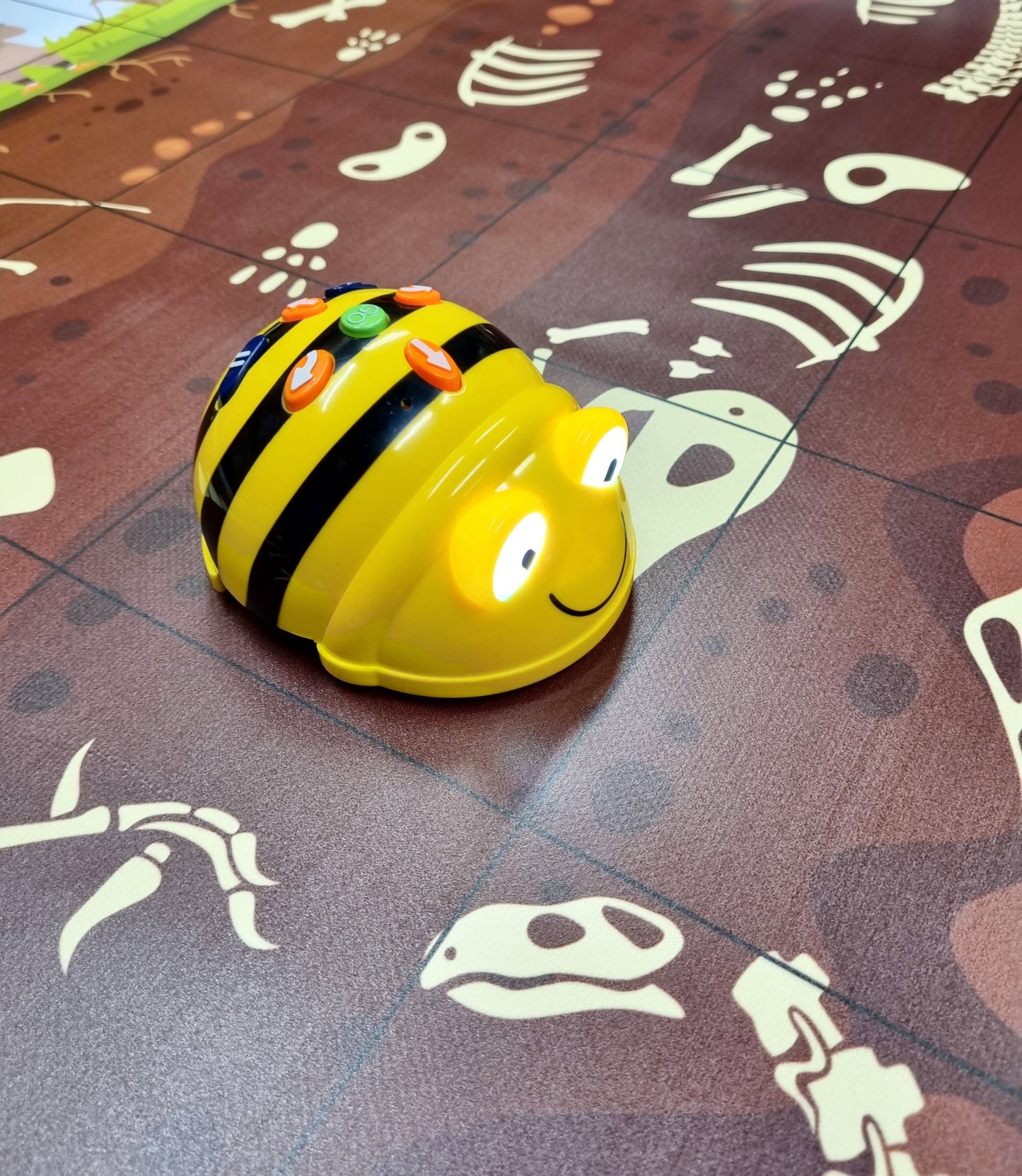 Tapis B-Bot Découverte Archéologique