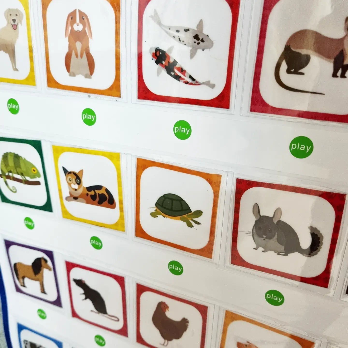 Mur de Parole: Animaux Domestiques