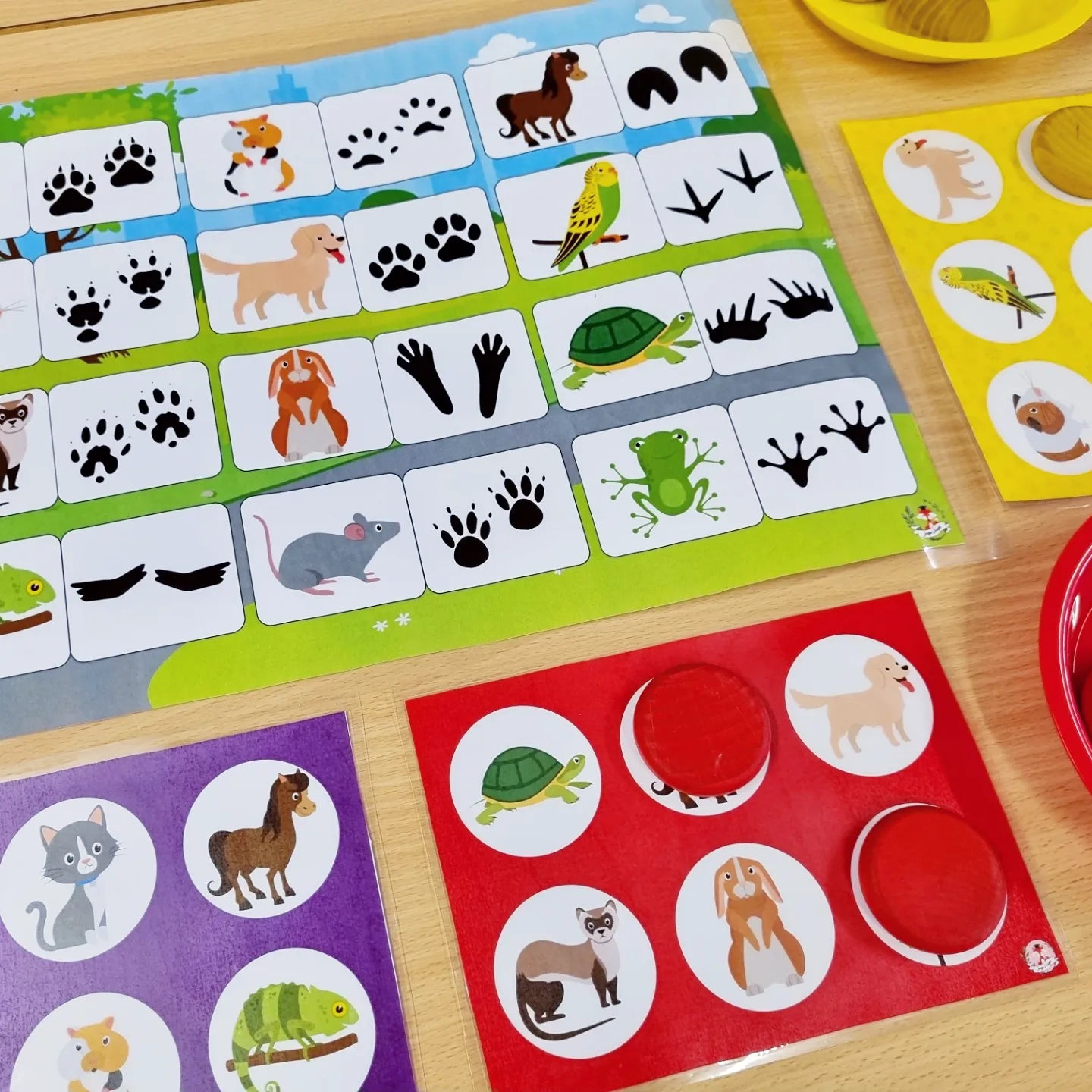 Spoor Speurder Spel Huisdieren