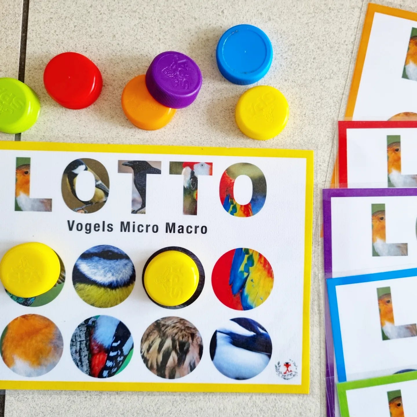 Birds Micro-Macro Lotto