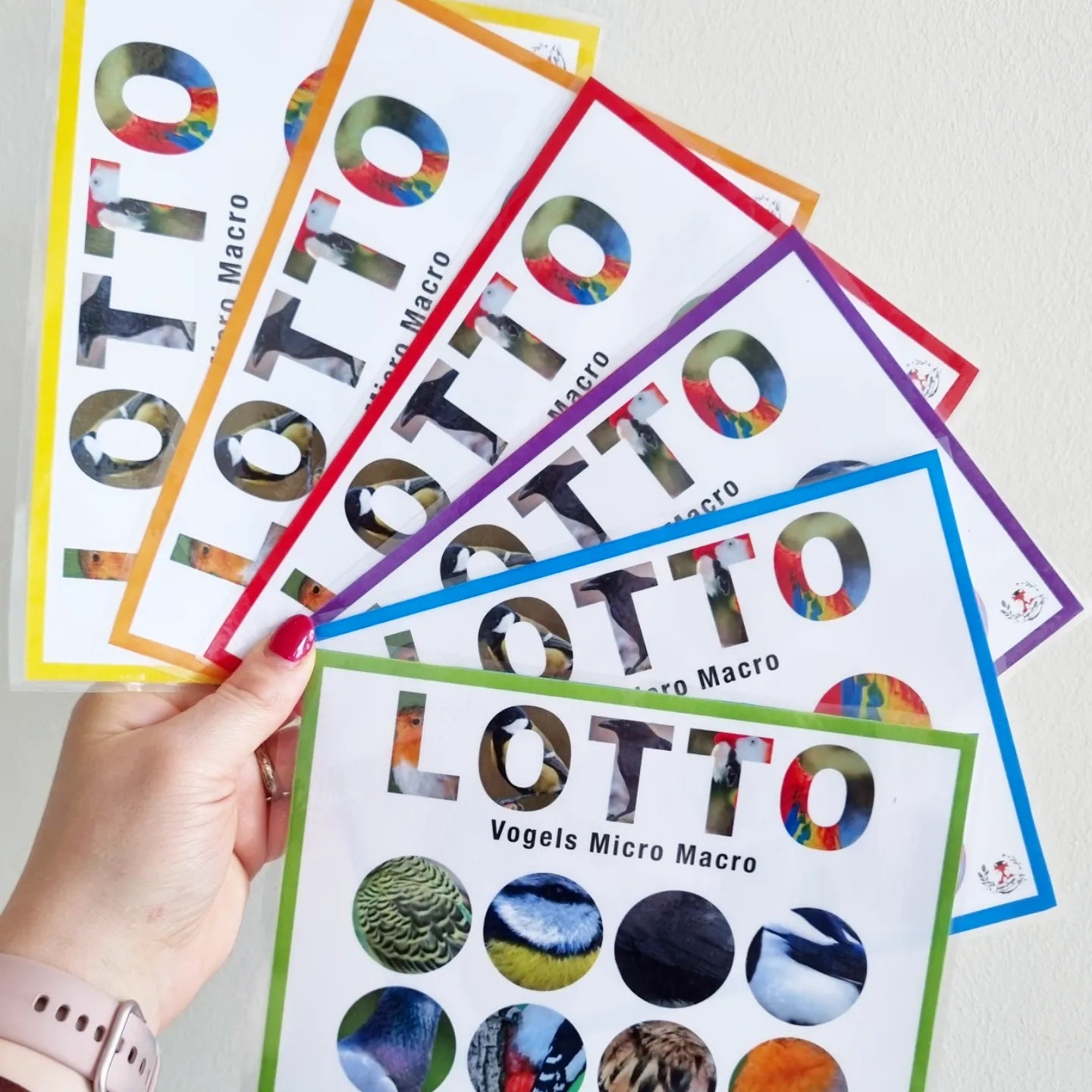 Birds Micro-Macro Lotto