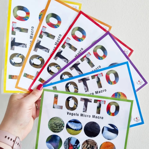 Birds Micro-Macro Lotto