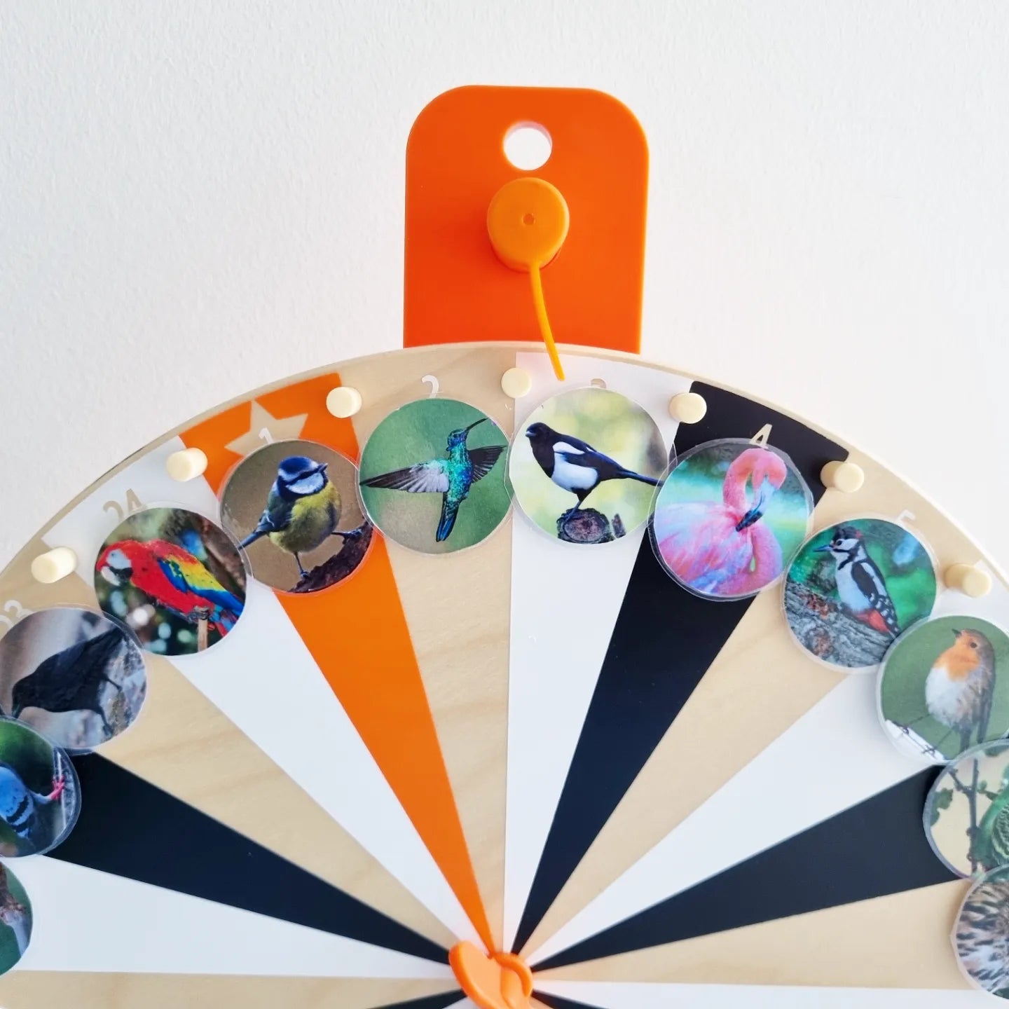 Birds Micro-Macro Lotto