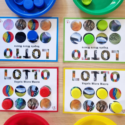 Birds Micro-Macro Lotto