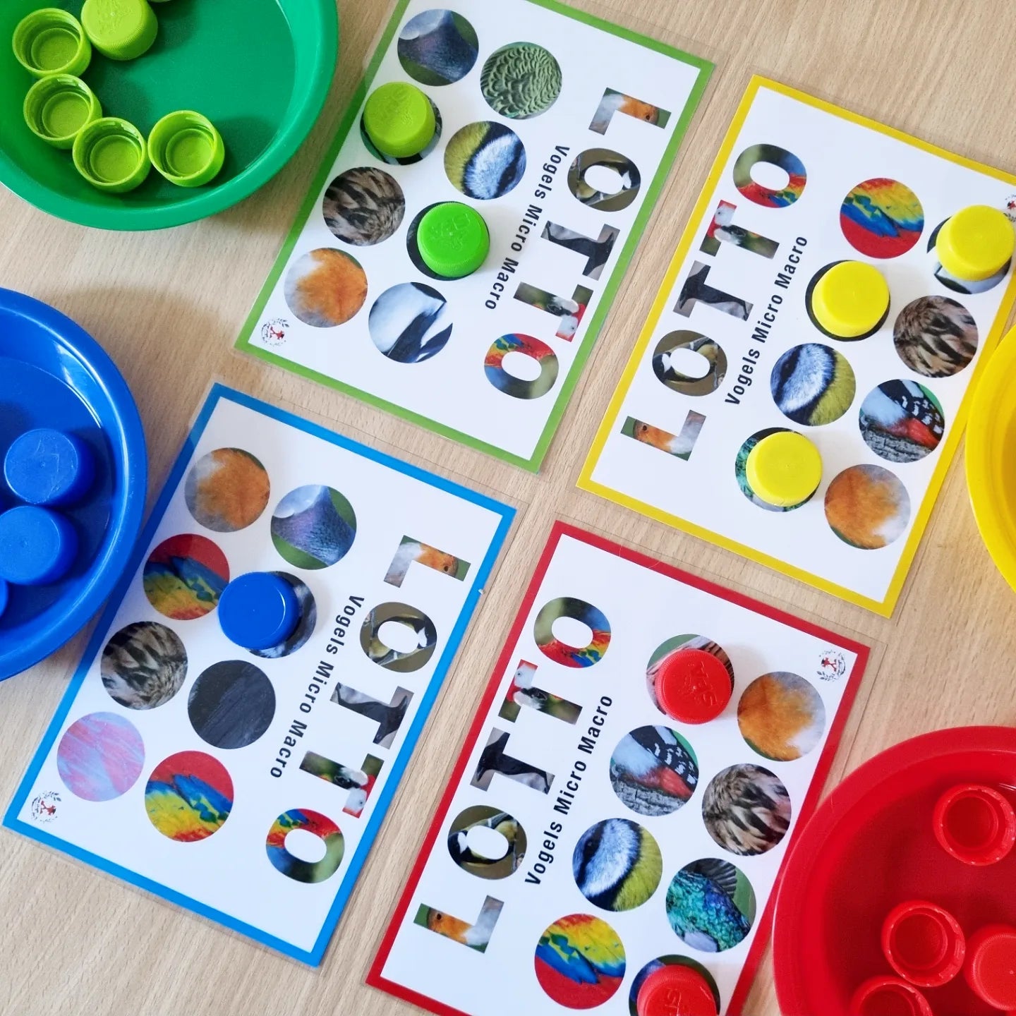 Birds Micro-Macro Lotto