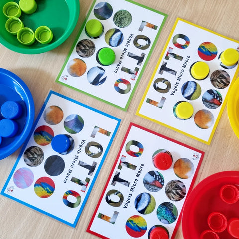 Birds Micro-Macro Lotto