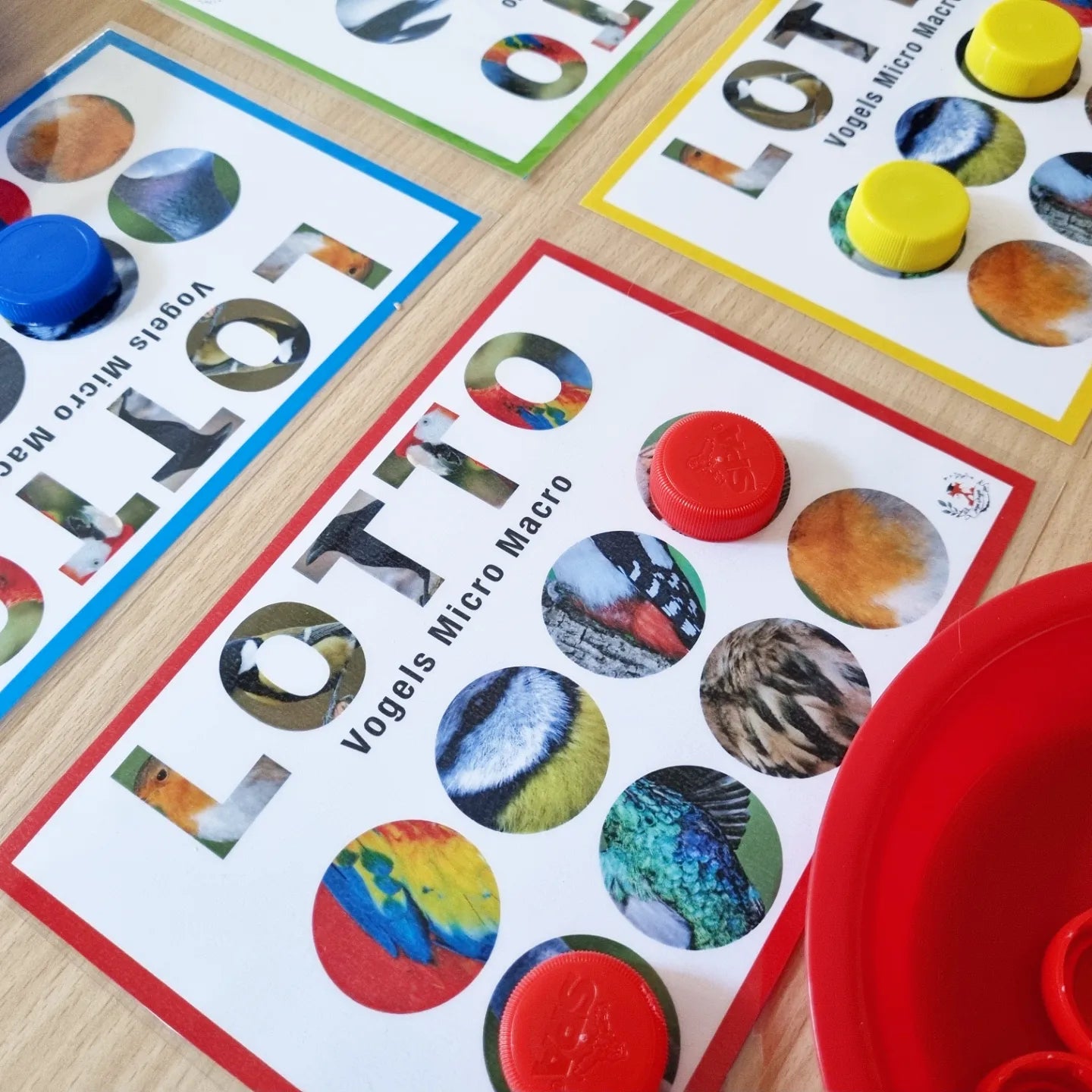 Birds Micro-Macro Lotto