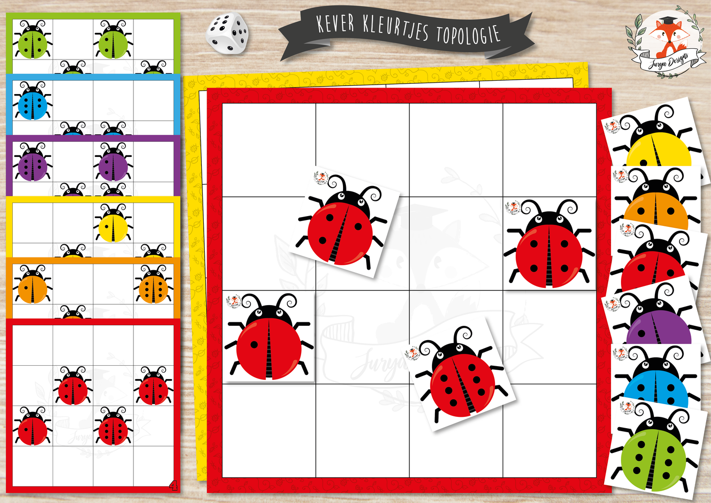Topologie des couleurs de scarabée