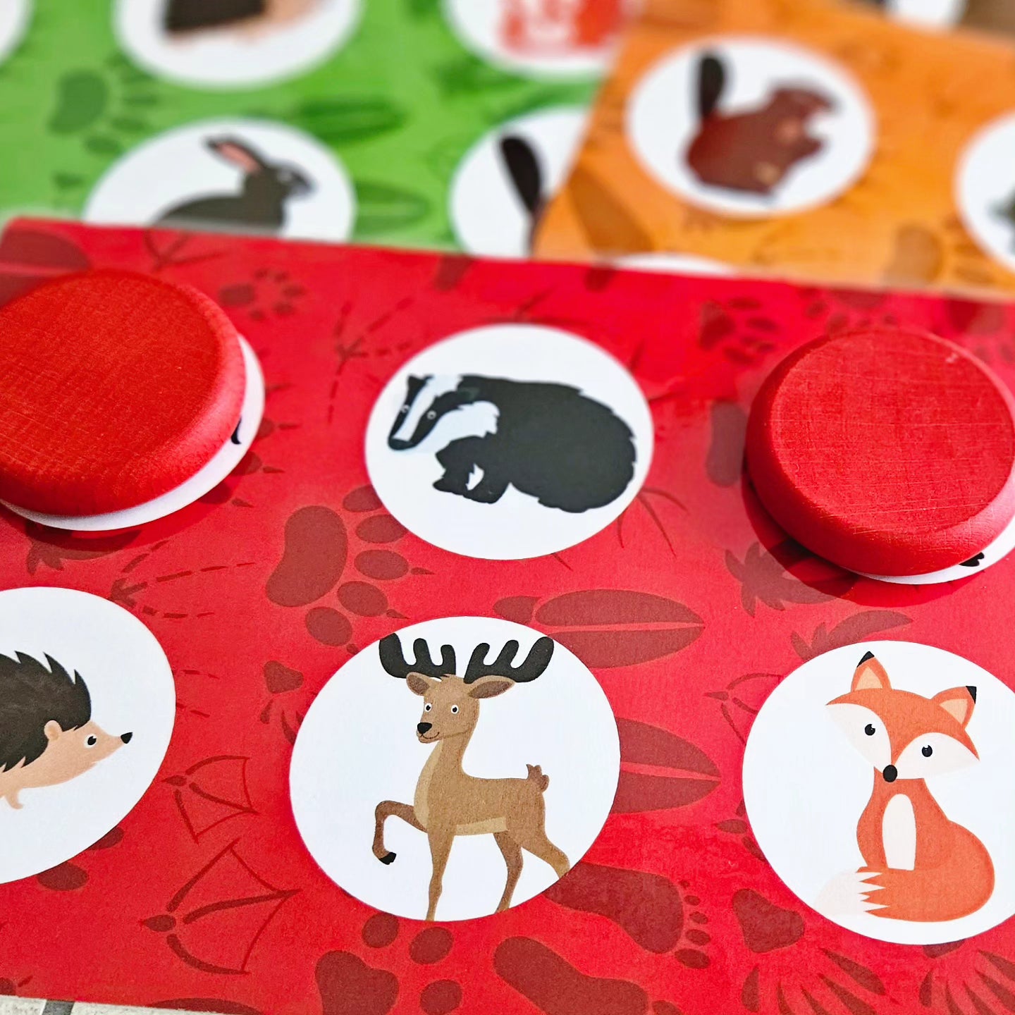 Track Tracker Game Forest Animals