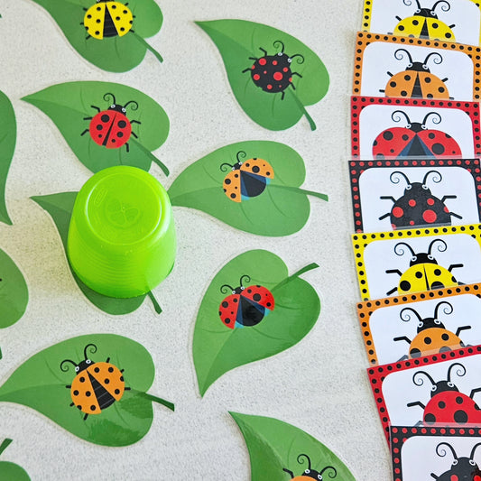 Snel Snel Coccinelle