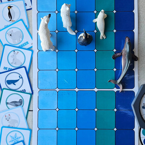 Maxi Pooldier Ploeg Race