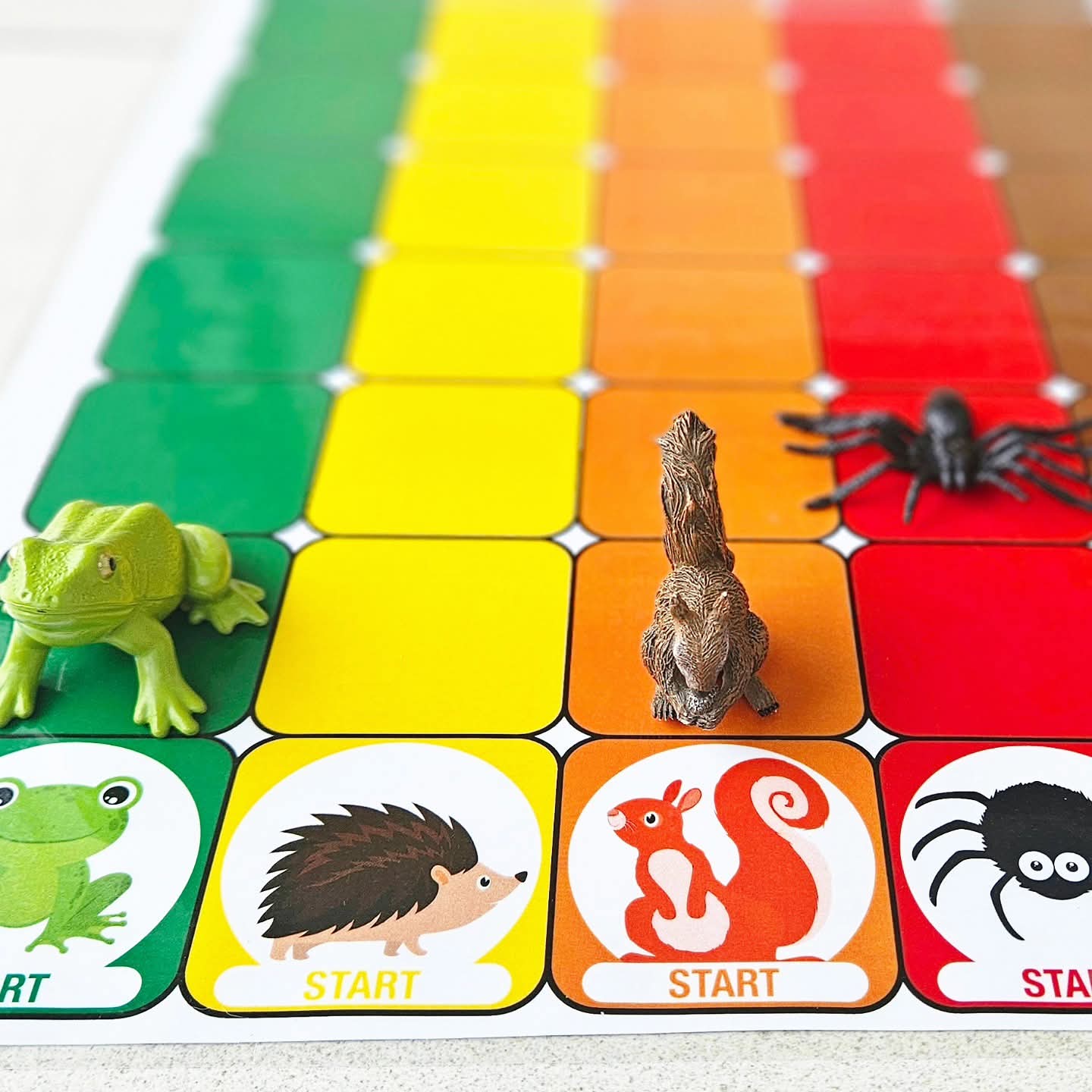 Maxi Course des Amis d'Automne