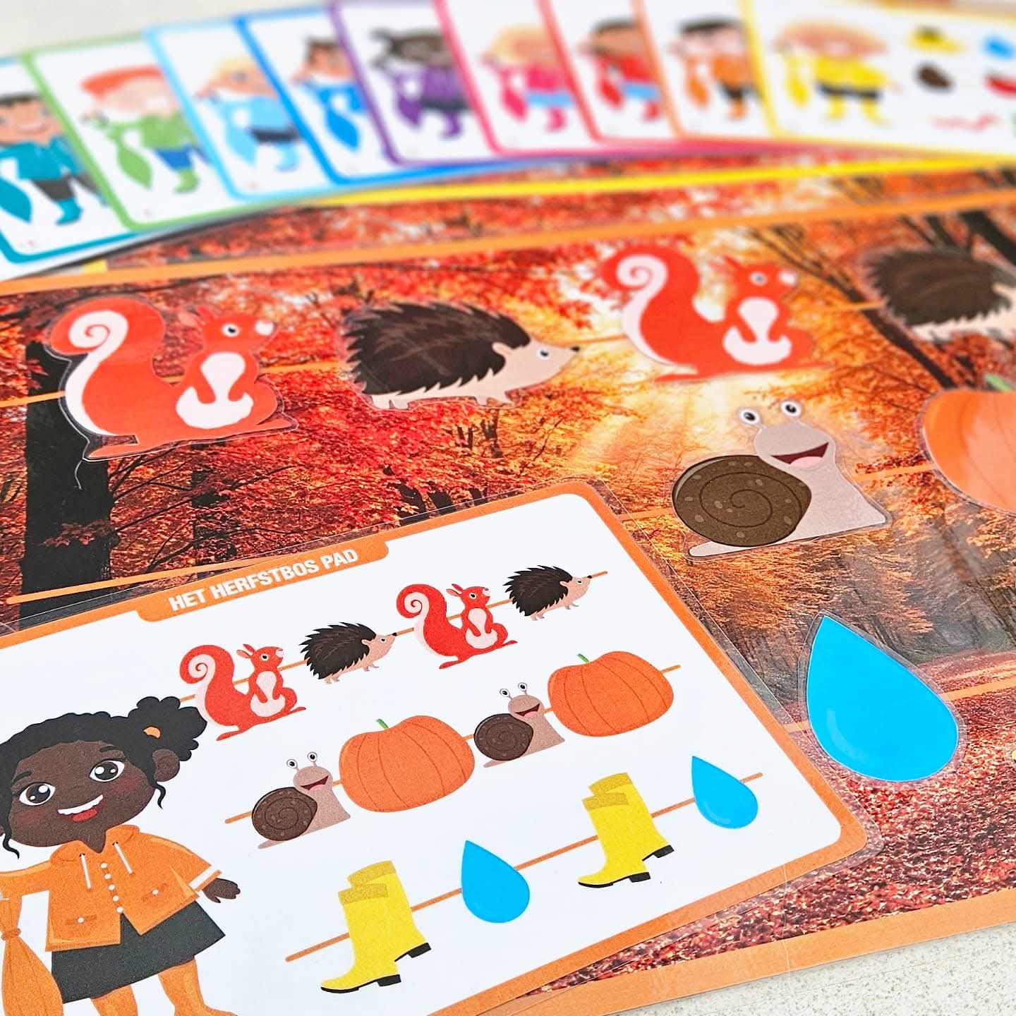 Le Sentier Forestier d'Automne