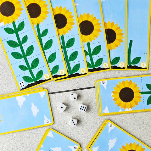 Le Pack Tournesol
