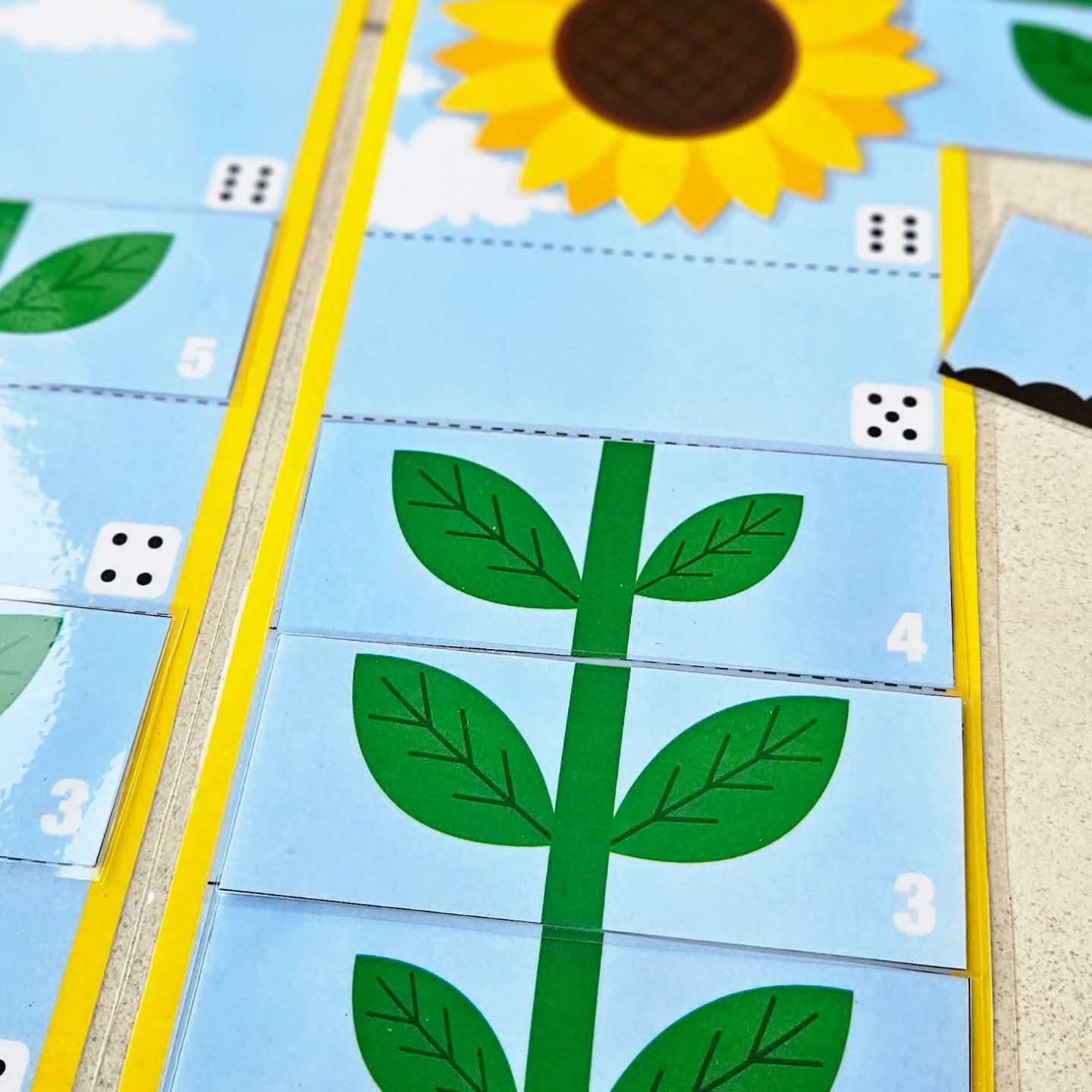 Le Pack Tournesol