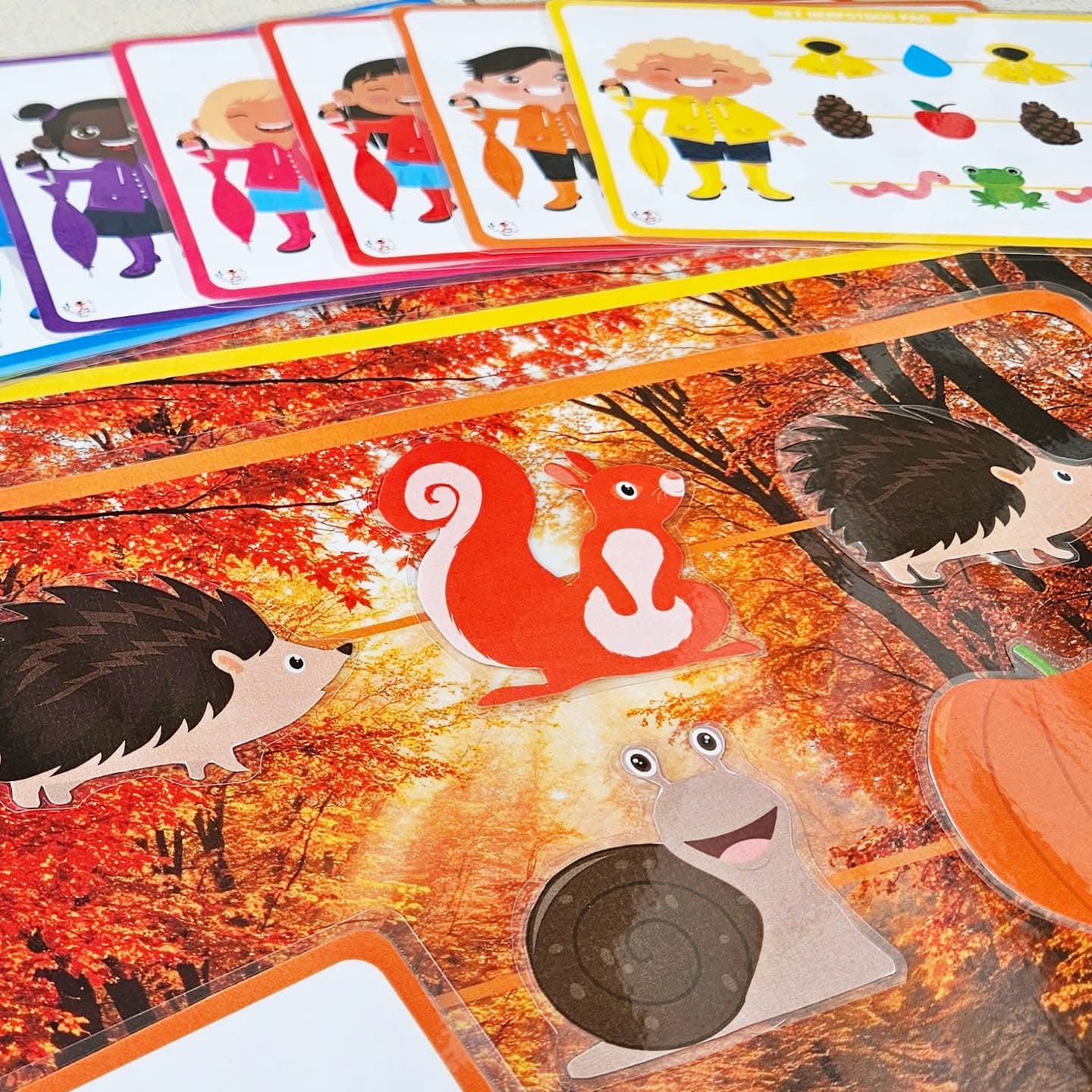 Le Sentier Forestier d'Automne