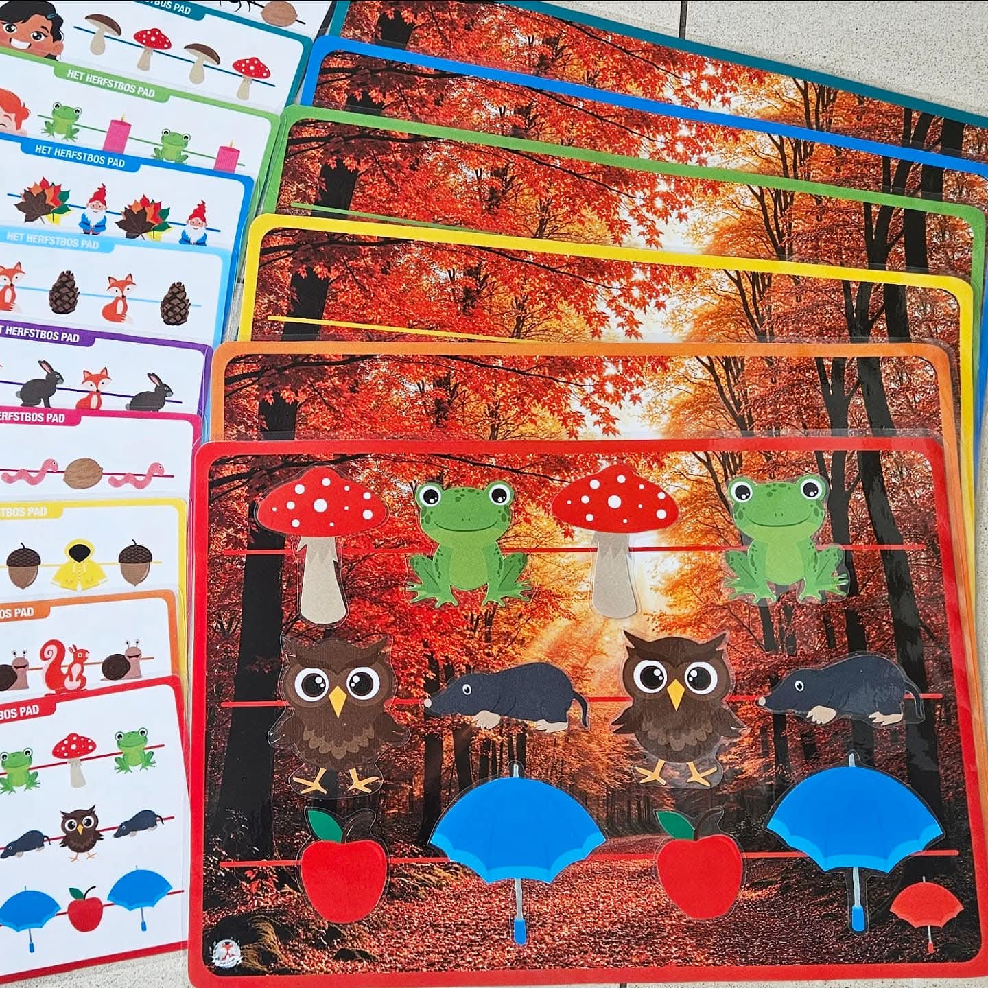 Le Sentier Forestier d'Automne