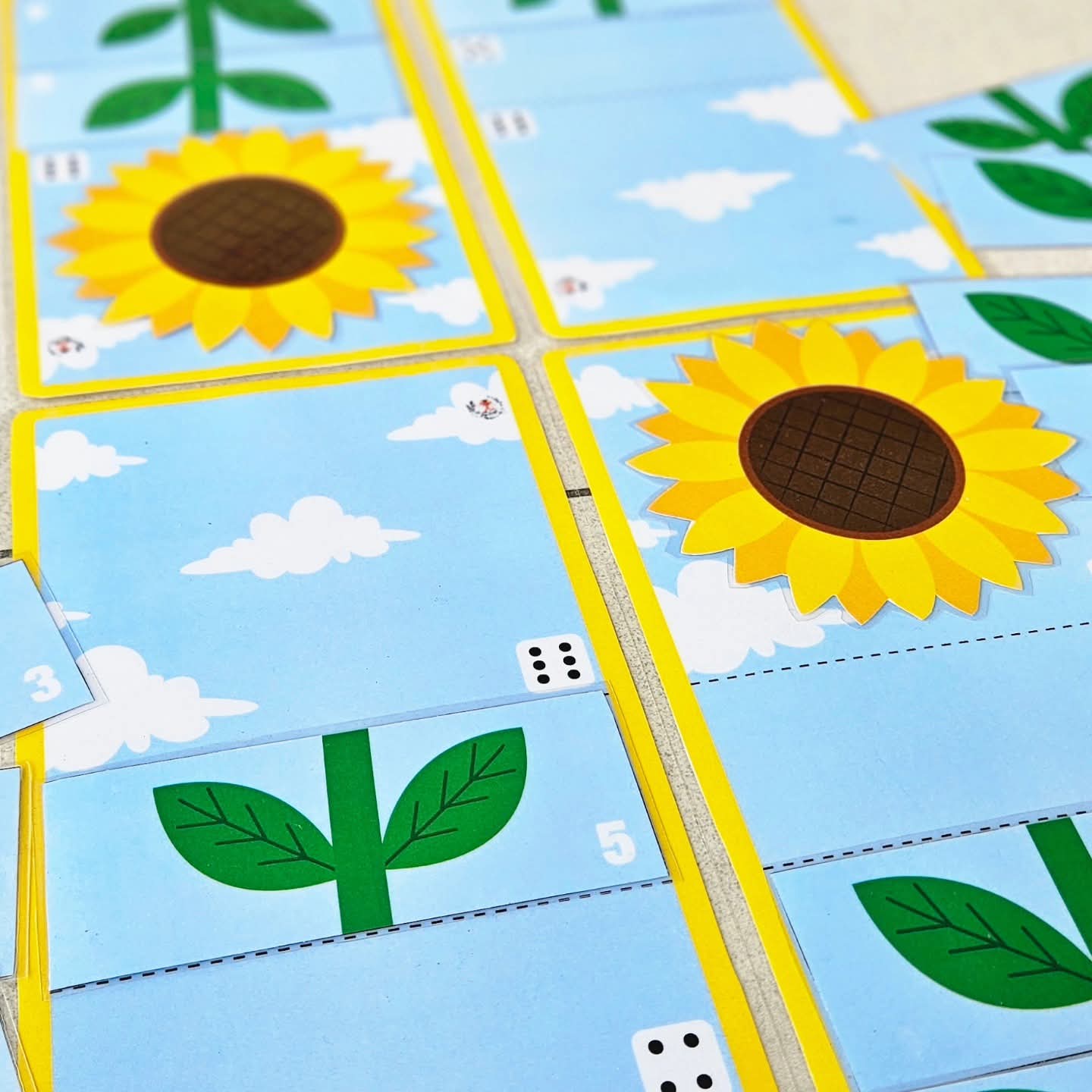 Le Pack Tournesol