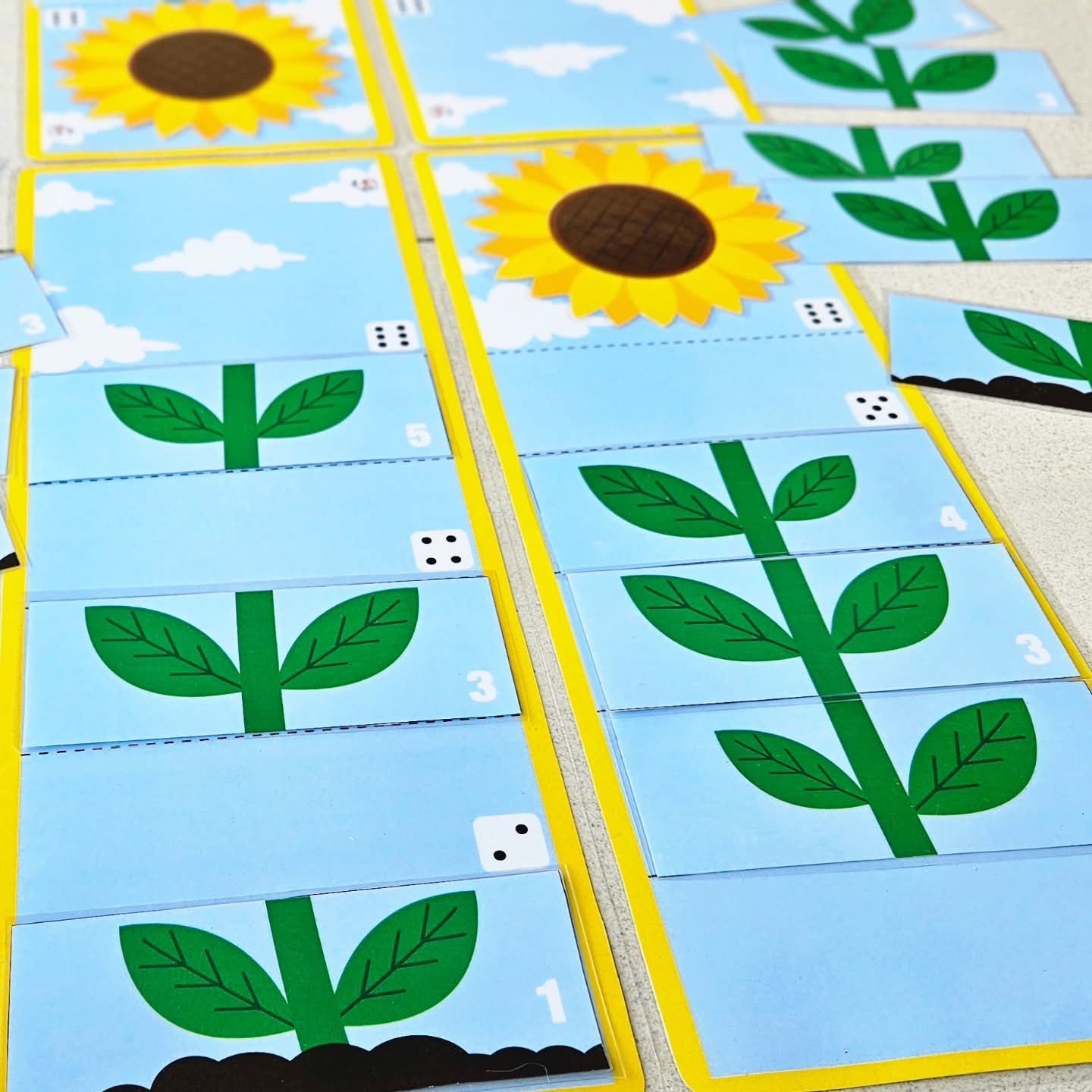 Le Pack Tournesol