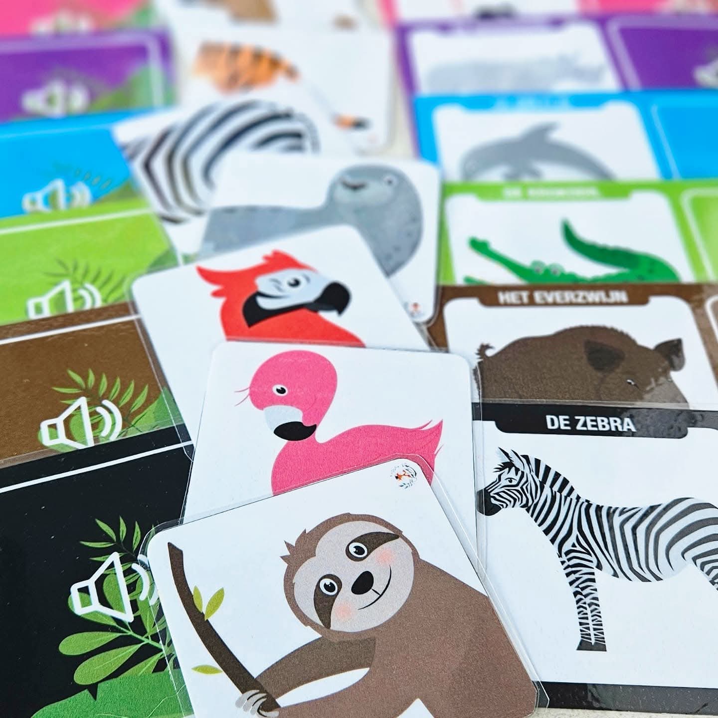 Correspondance des Sons : Animaux Sauvages