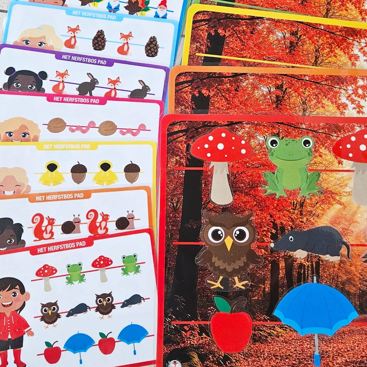 Le Sentier Forestier d'Automne