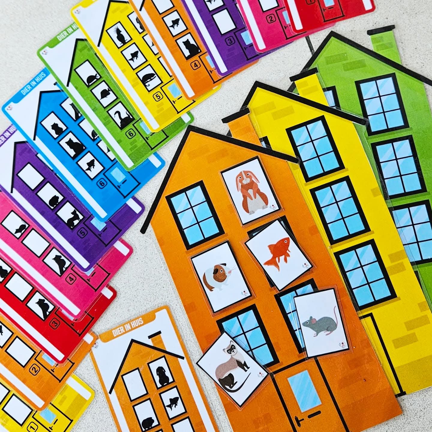 Animal Dans la Maison