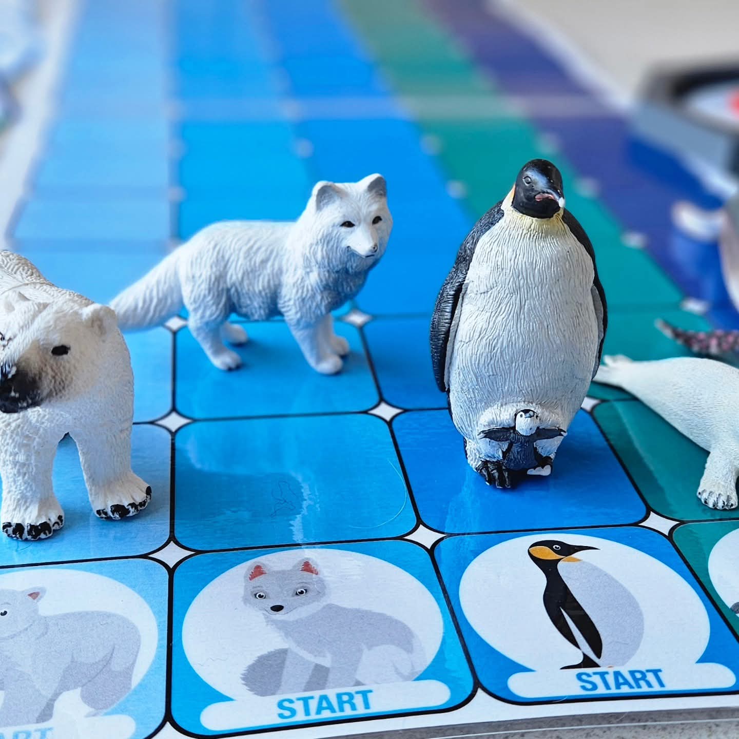 Maxi Pooldier Ploeg Race