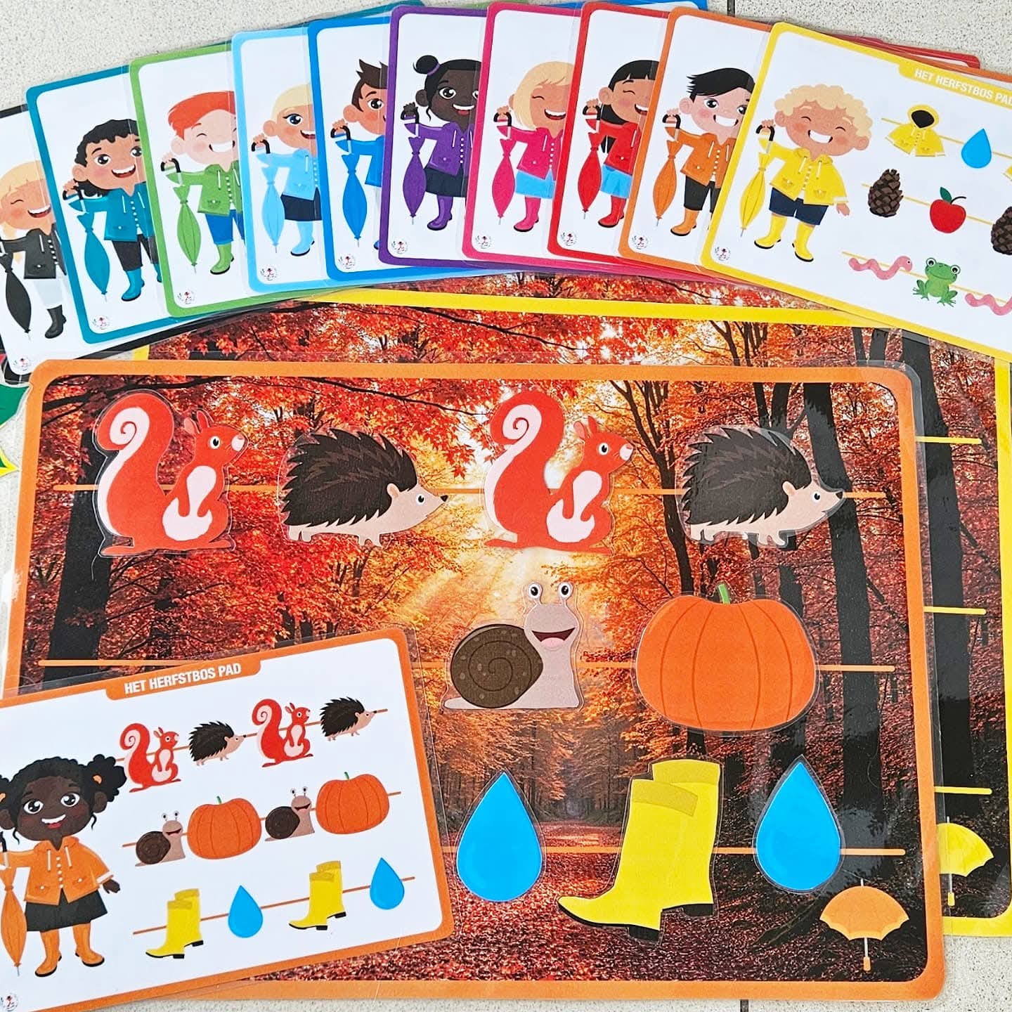 Le Sentier Forestier d'Automne