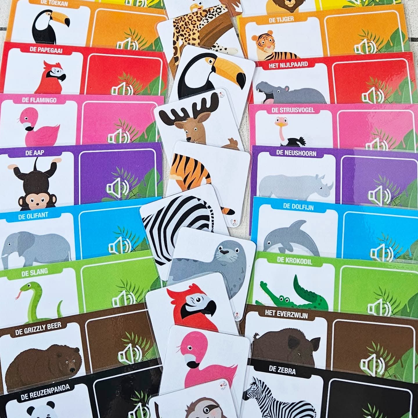 Correspondance des Sons : Animaux Sauvages