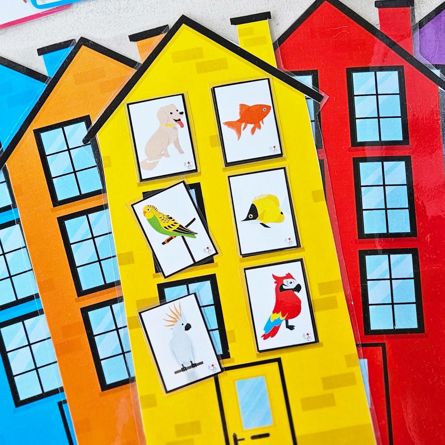 Animal Dans la Maison