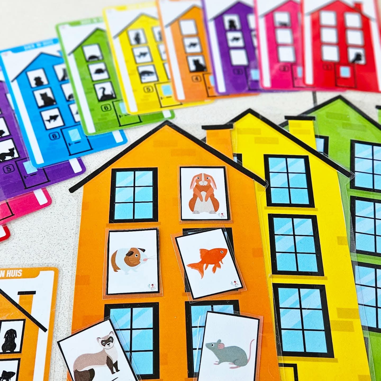 Animal Dans la Maison