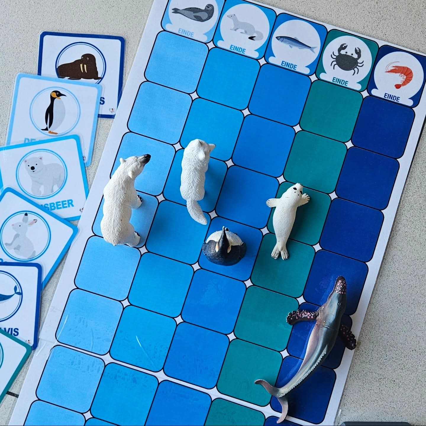 Maxi Pooldier Ploeg Race