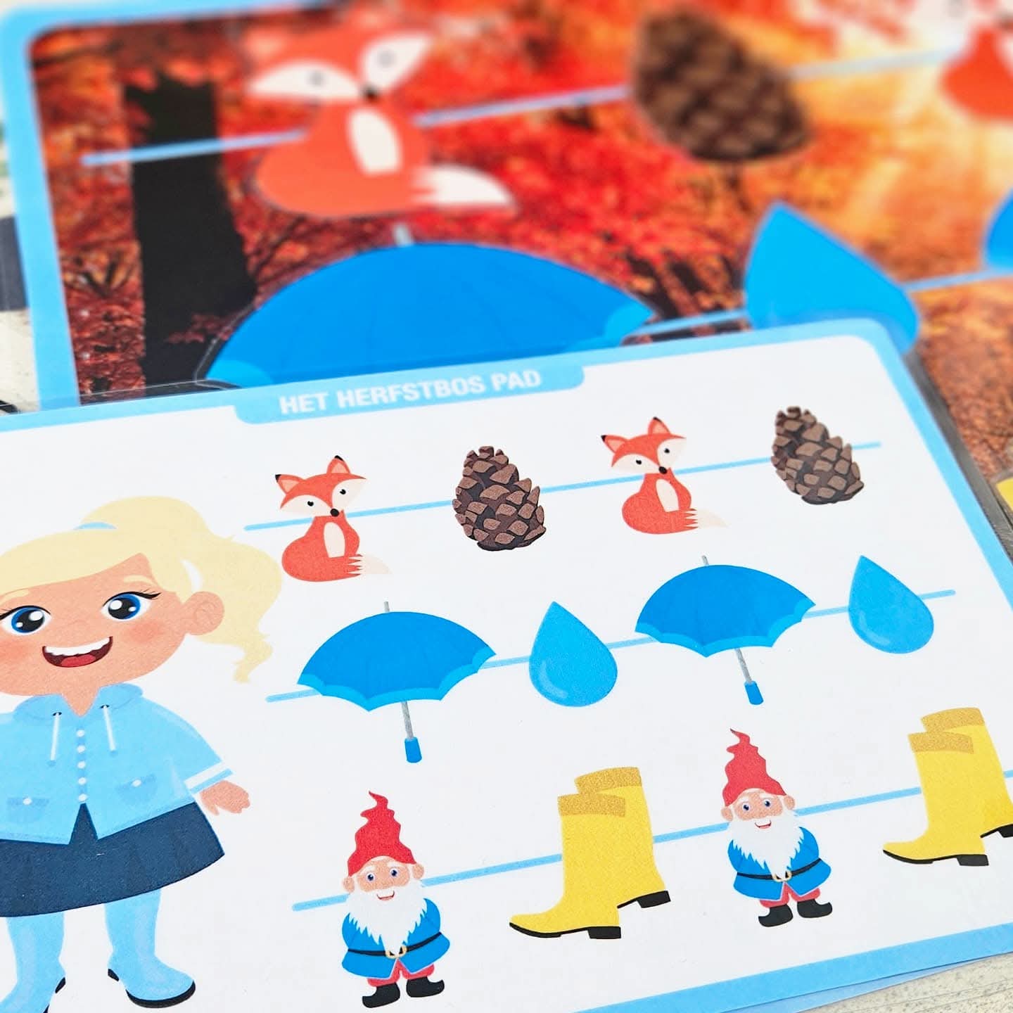 Le Sentier Forestier d'Automne