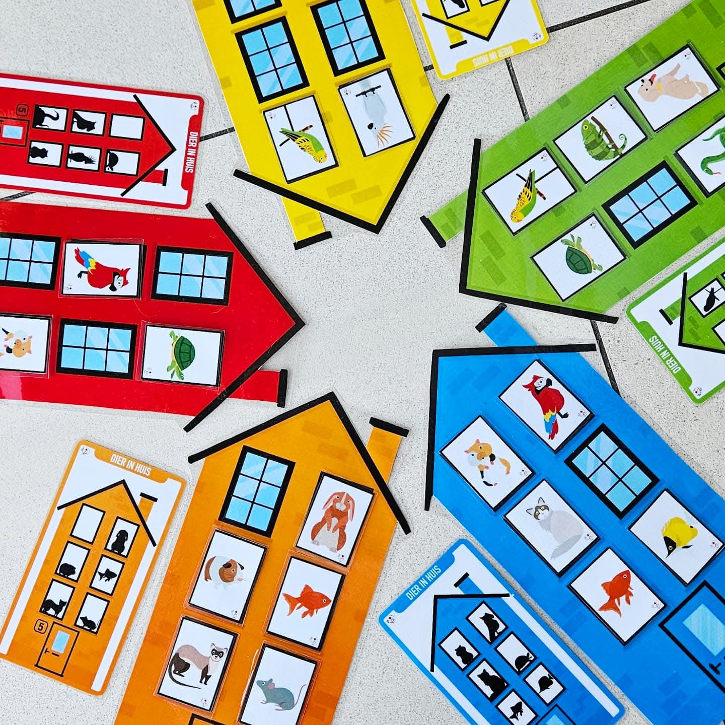 Animal Dans la Maison